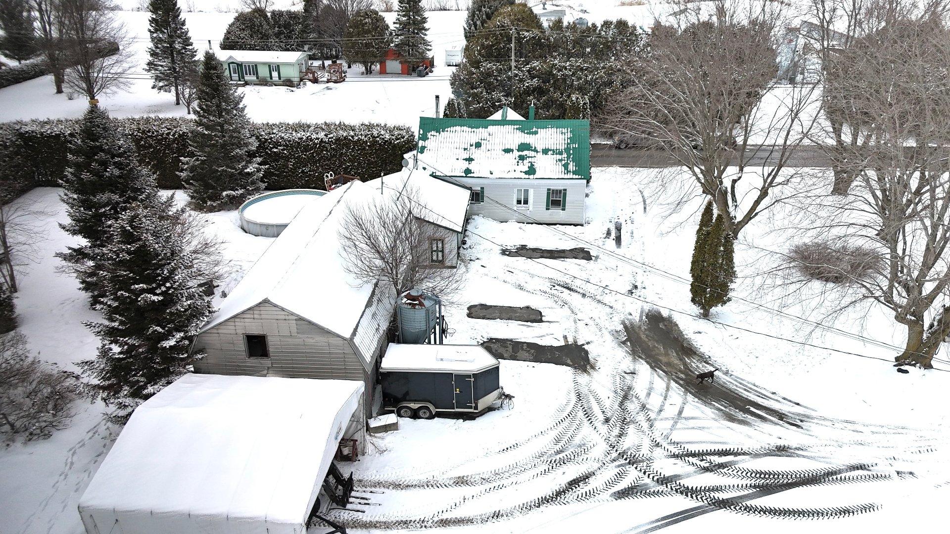 Photo - Aerial photo