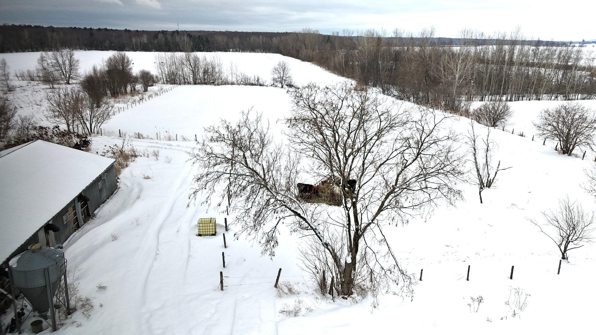 Photo - Aerial photo