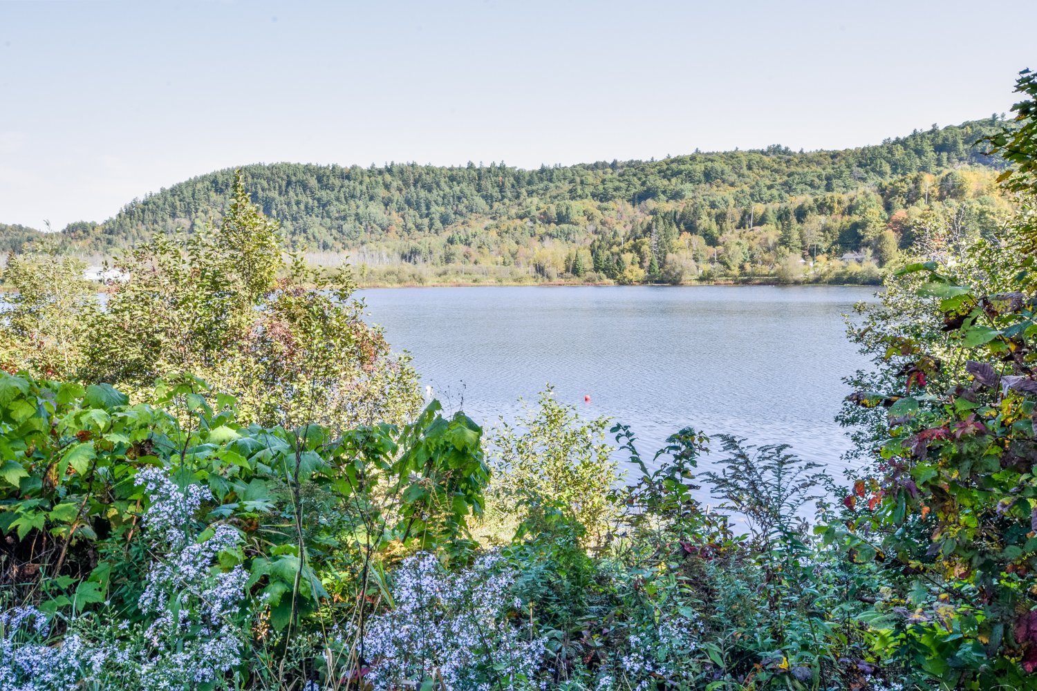 Vue sur l'eau