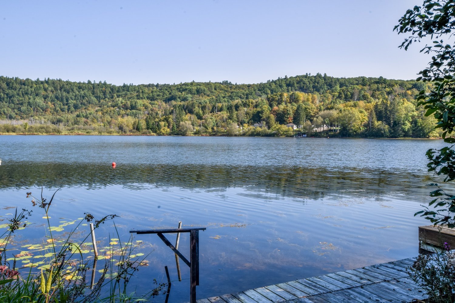 Vue sur l'eau