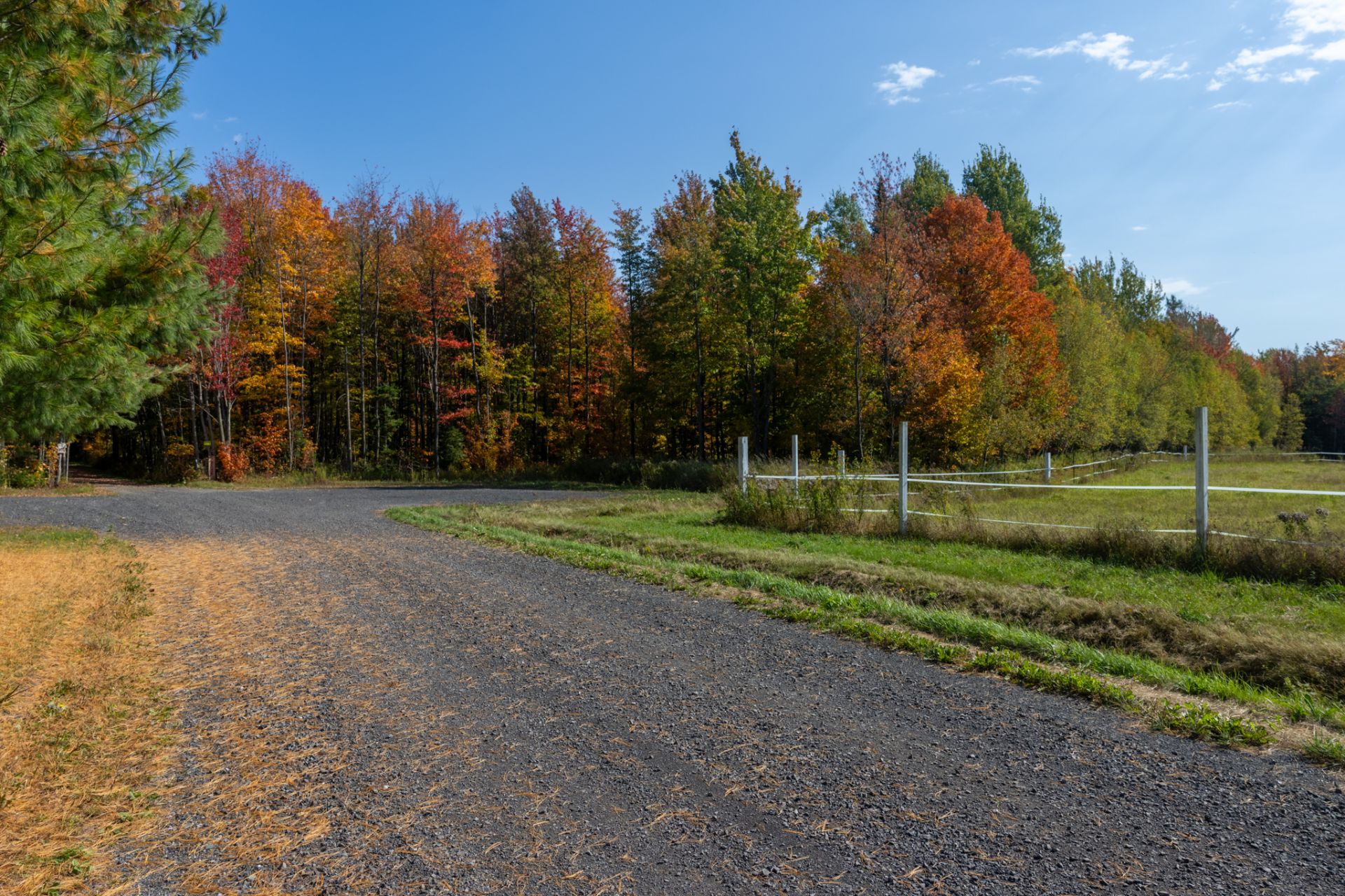 Photo - Terre/Terrain