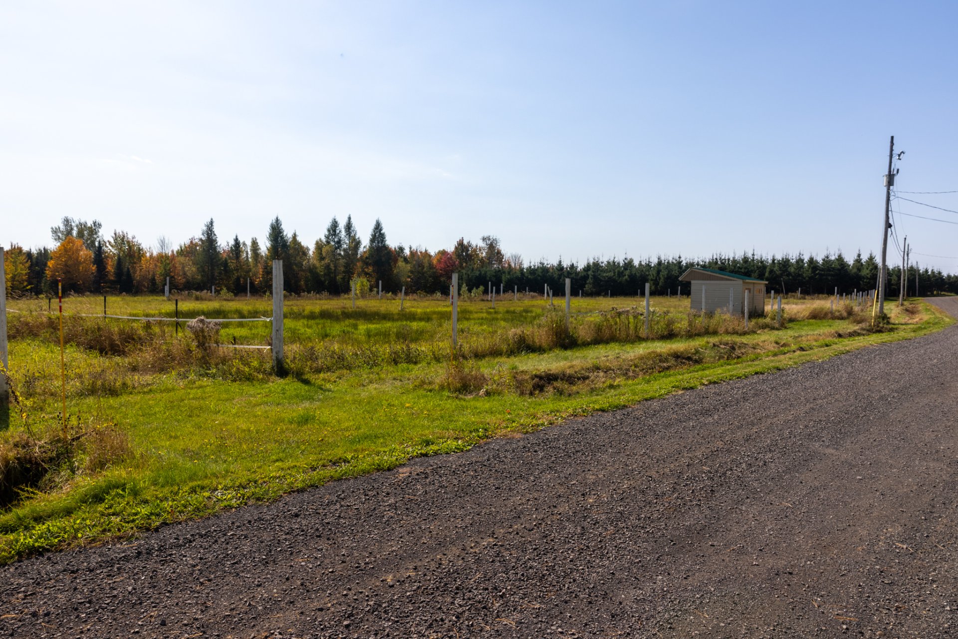 Photo - Terre/Terrain