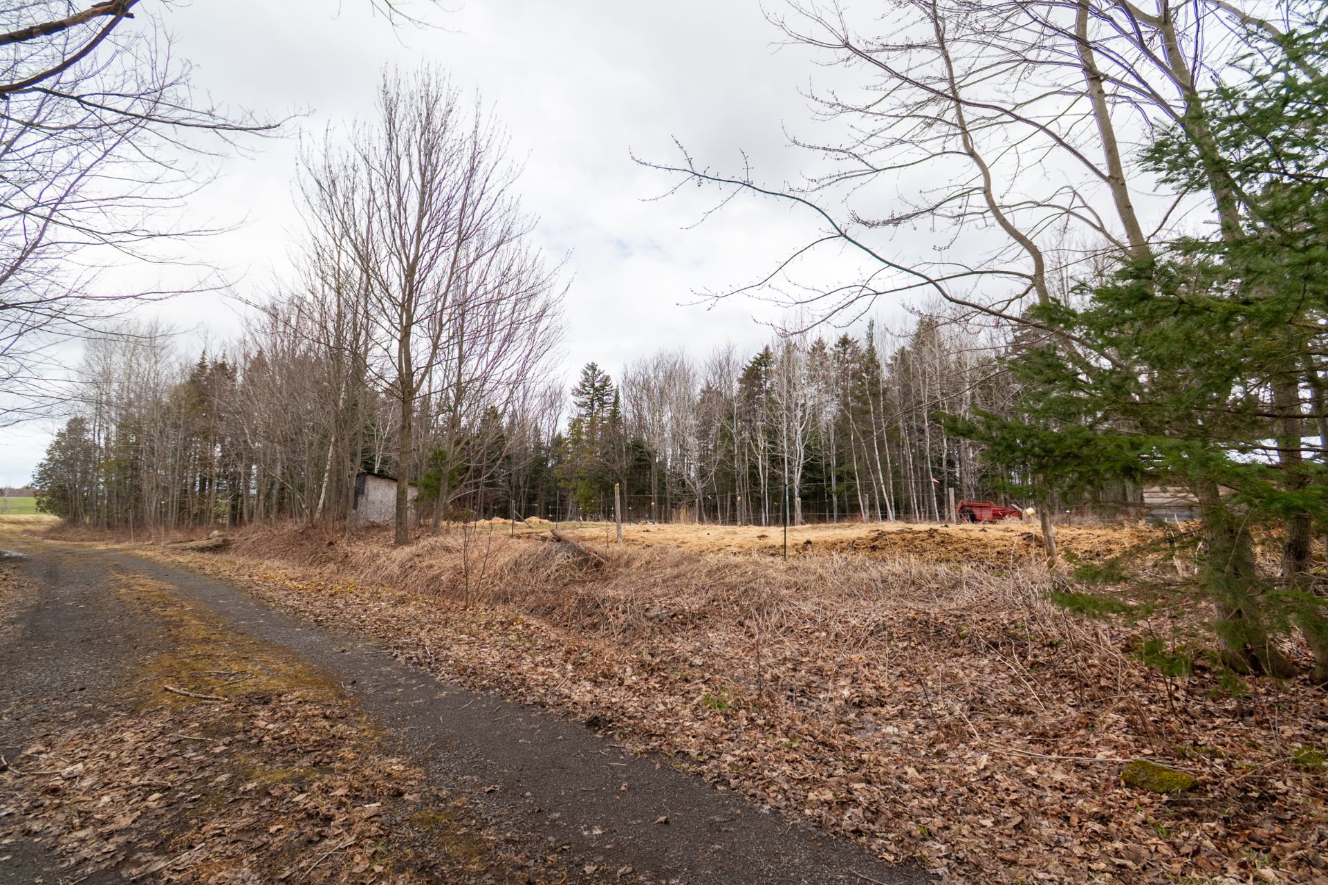 Photo - Terre/Terrain