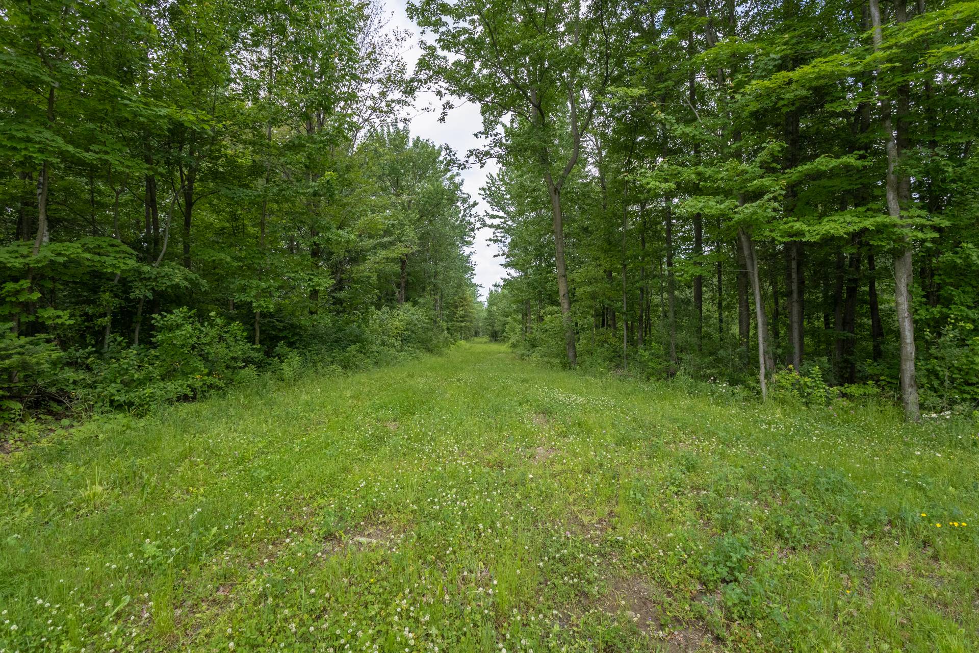 Photo - Terre/Terrain