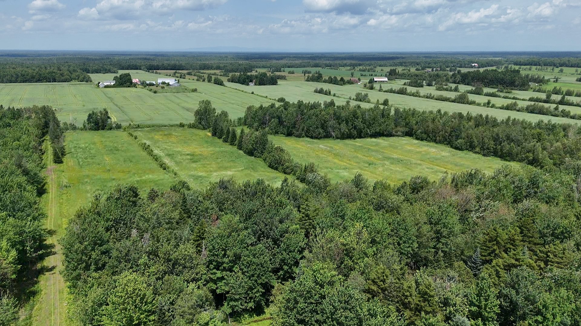 Photo - Terre/Terrain