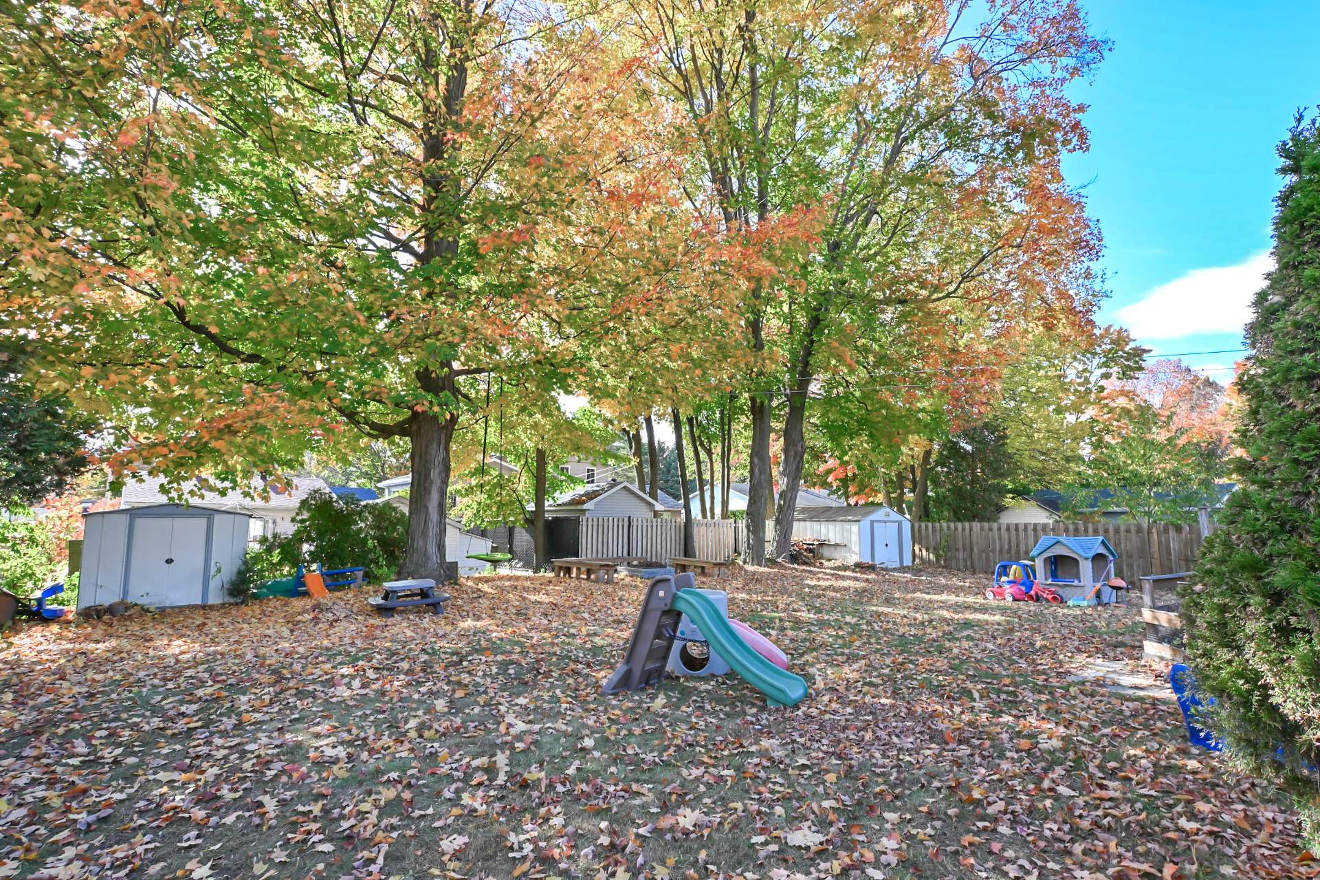 Backyard