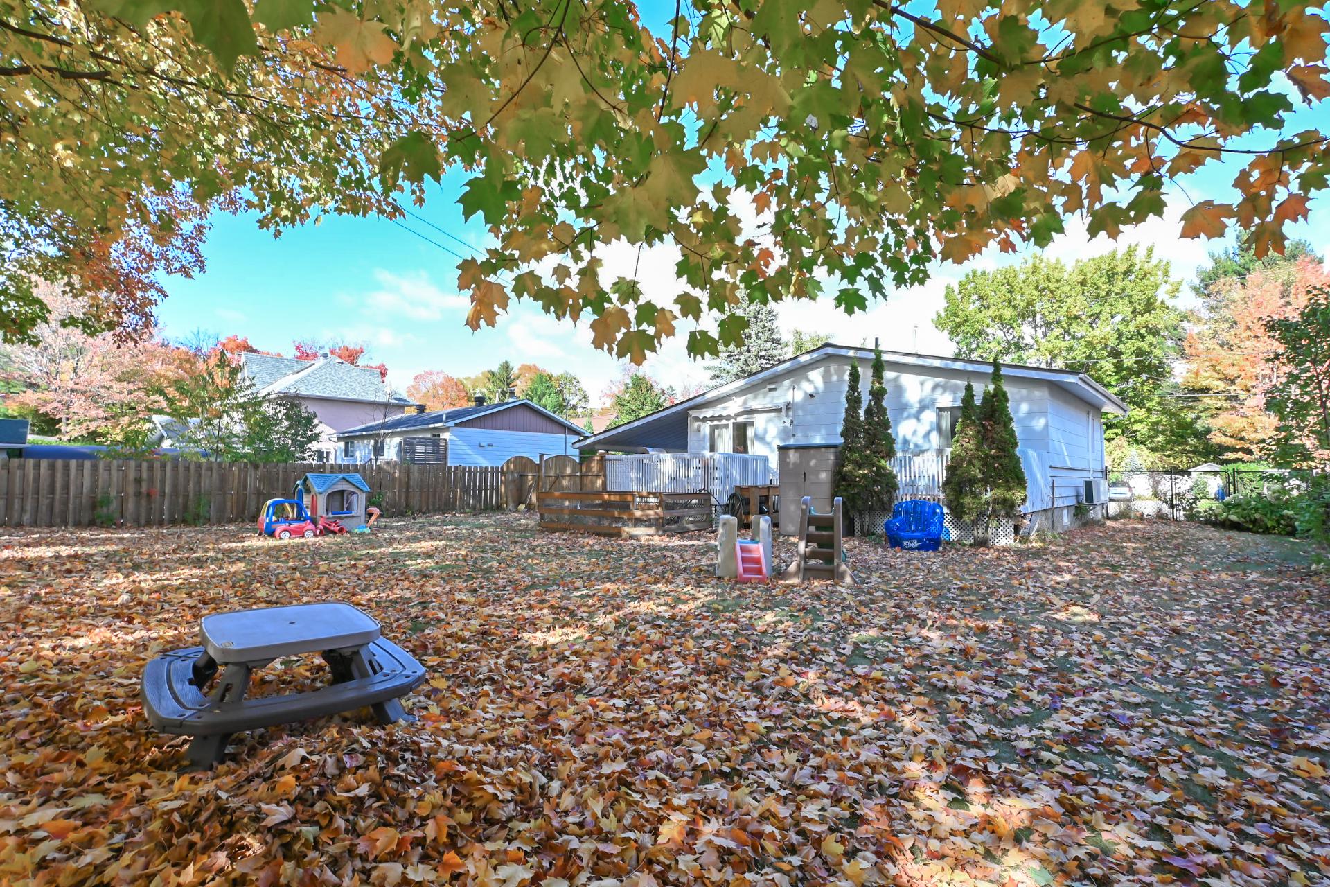 Backyard