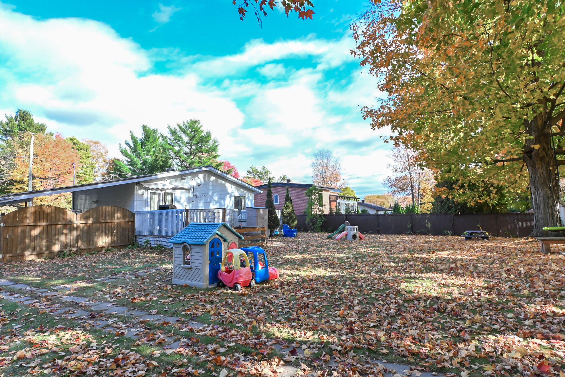 Backyard