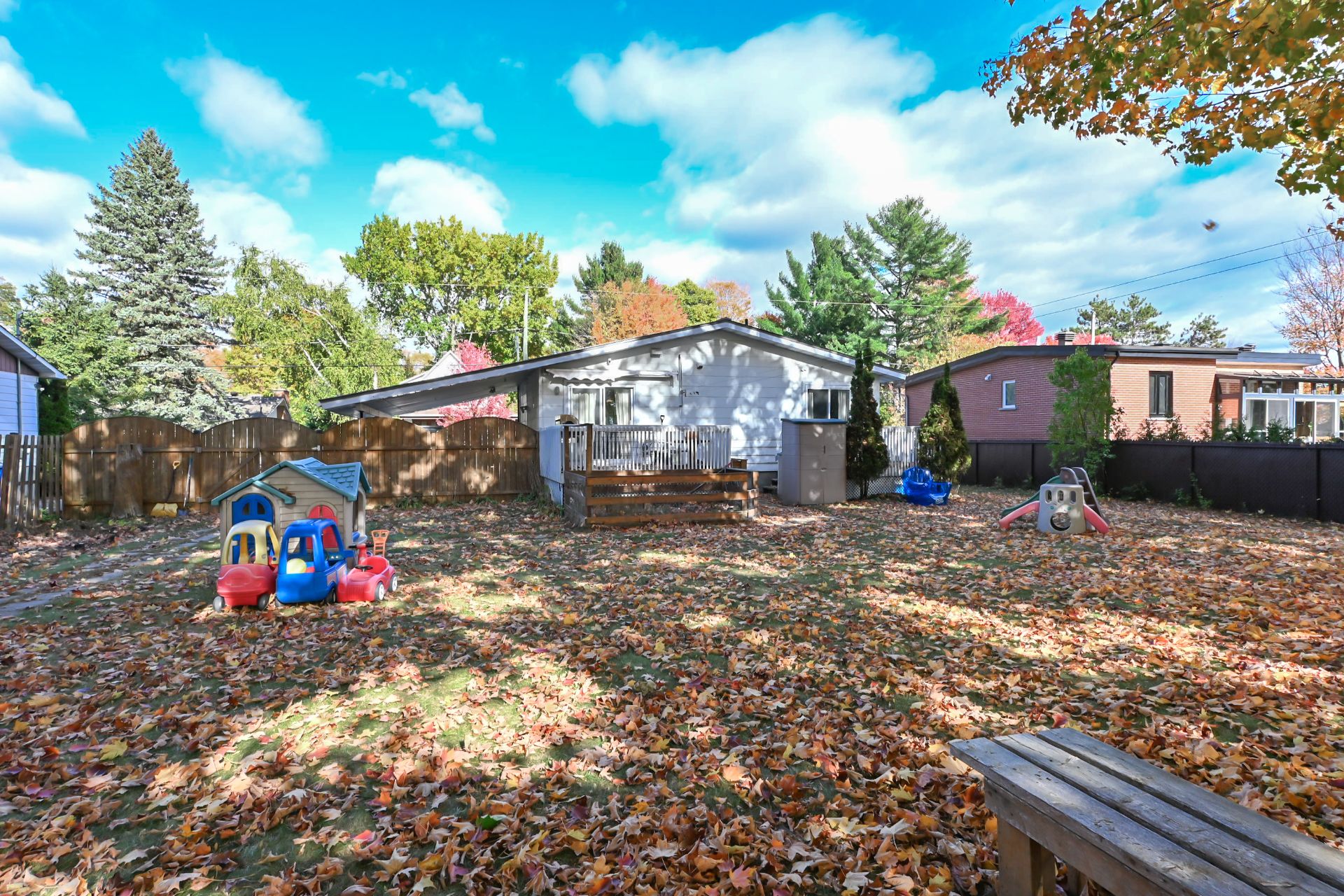 Backyard