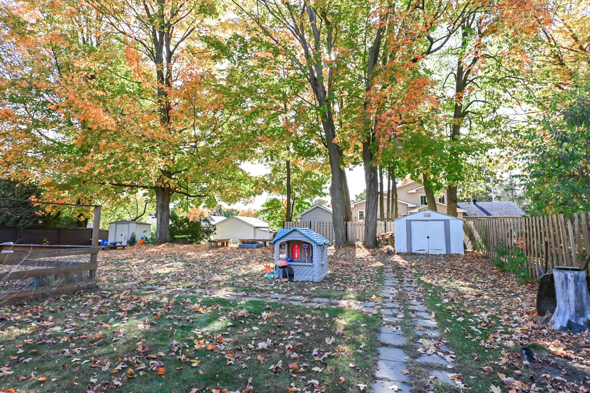 Backyard