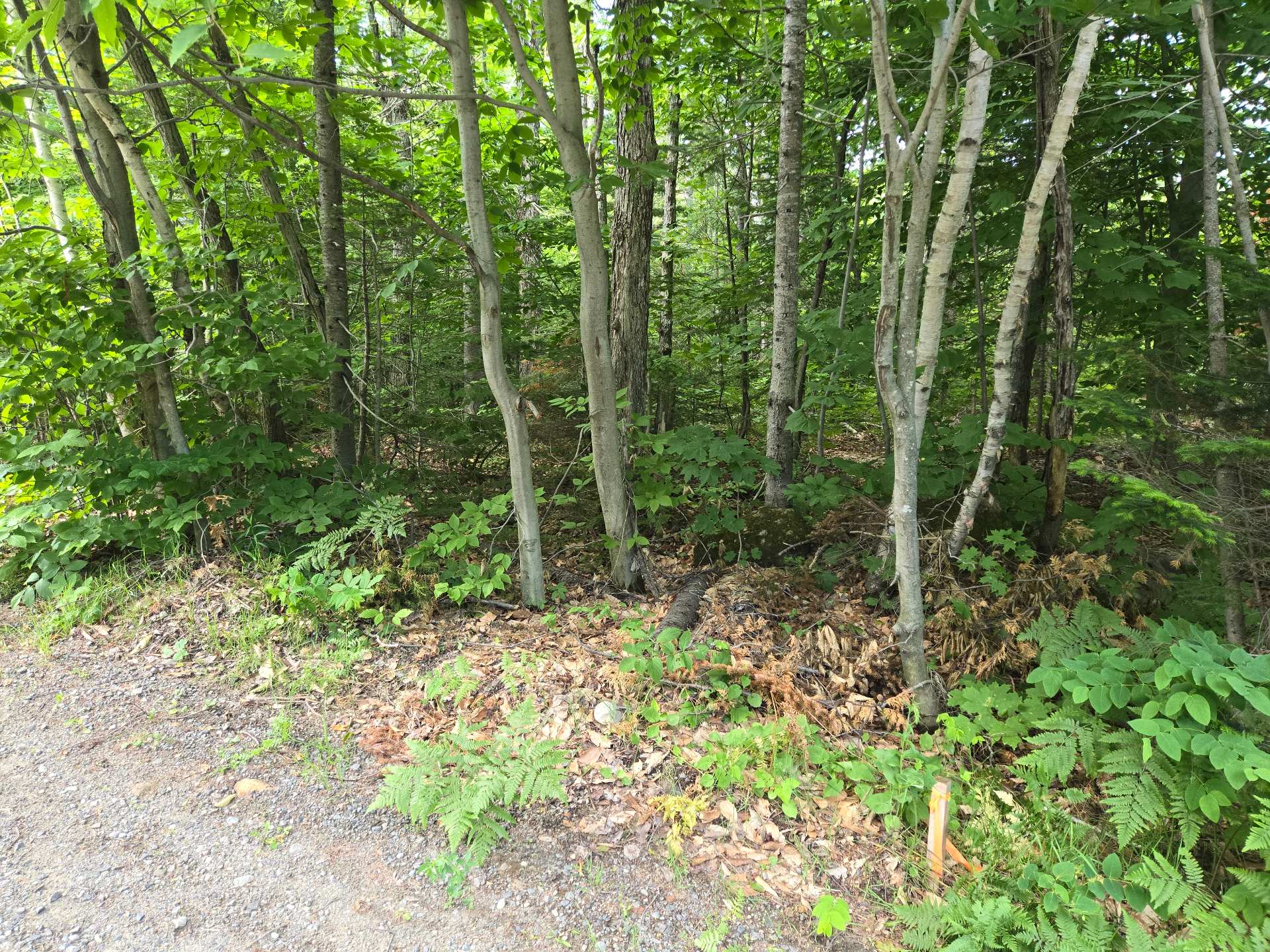 Photo - Land/Lot