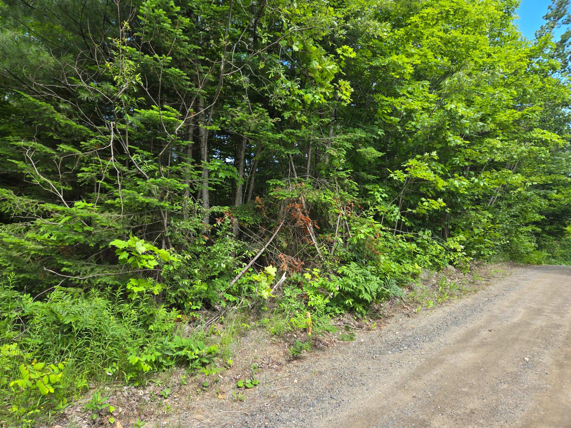 Photo - Land/Lot