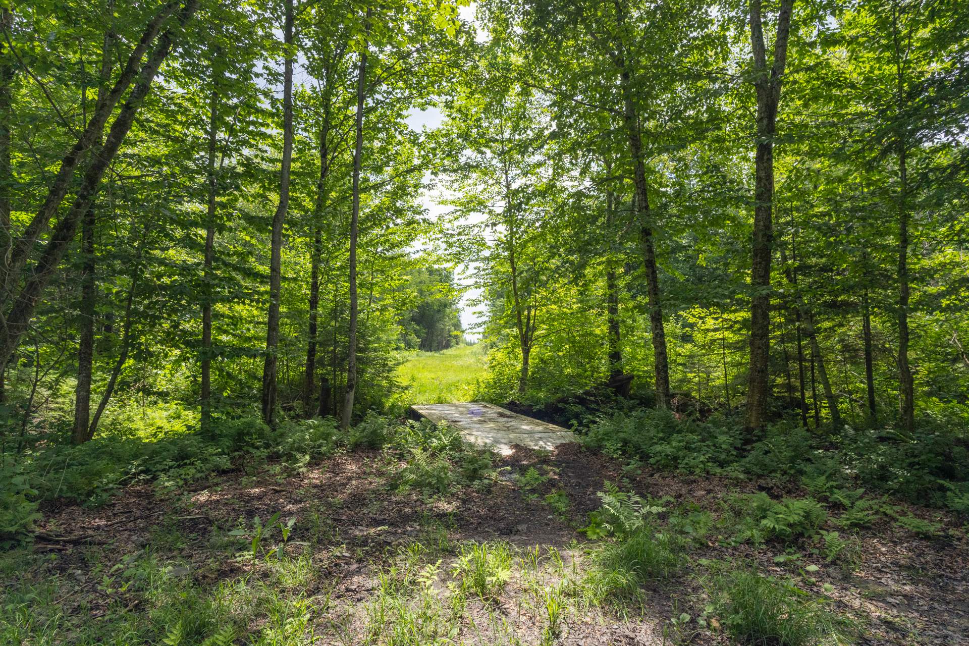 Photo - Terre/Terrain