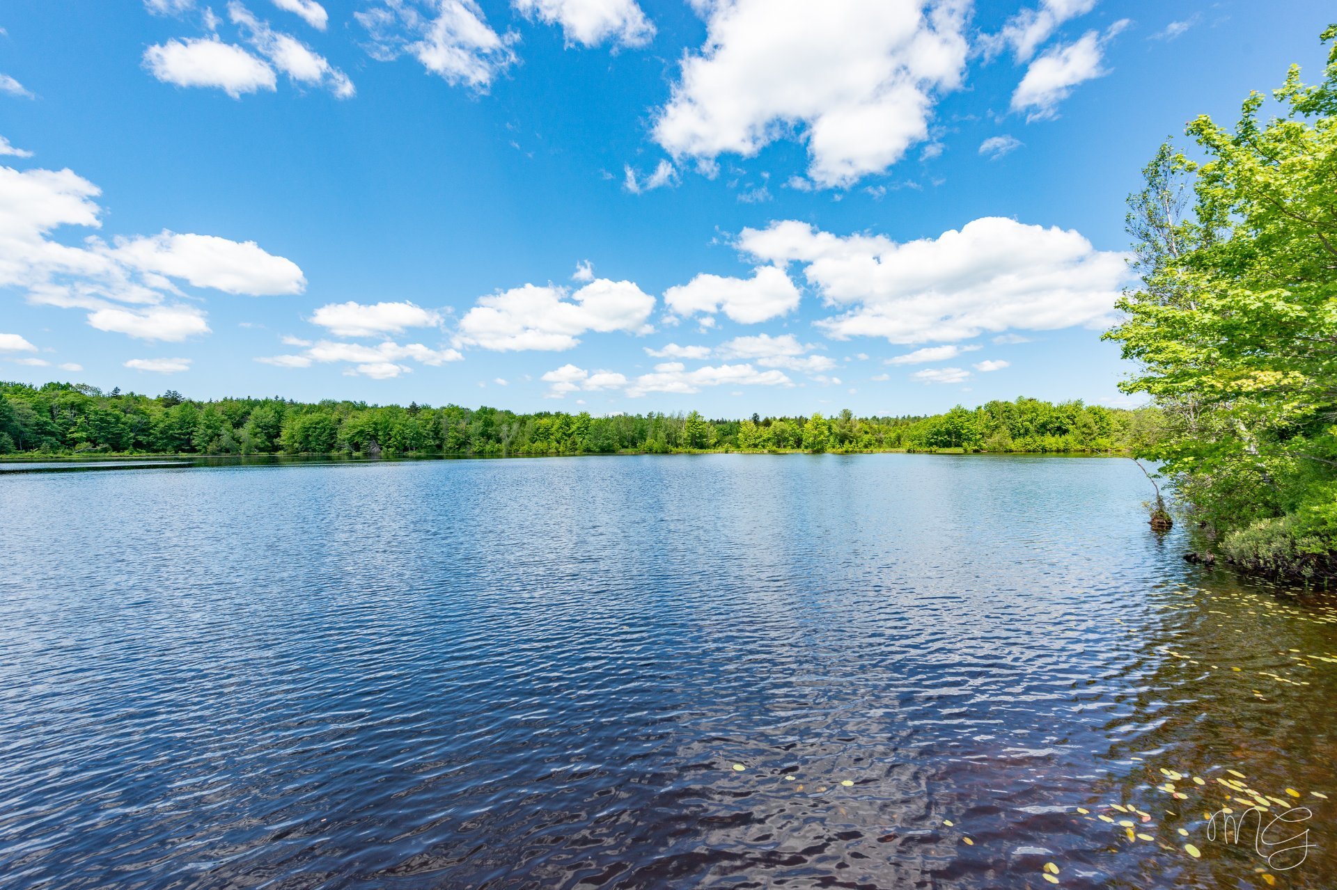 Accès au plan d'eau