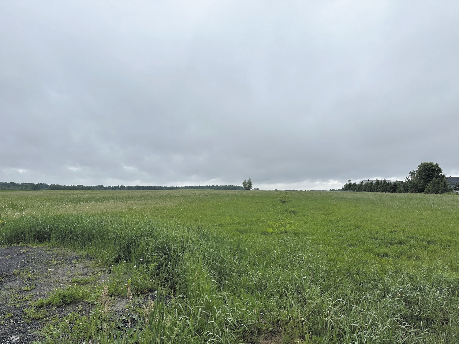 Terre/Terrain