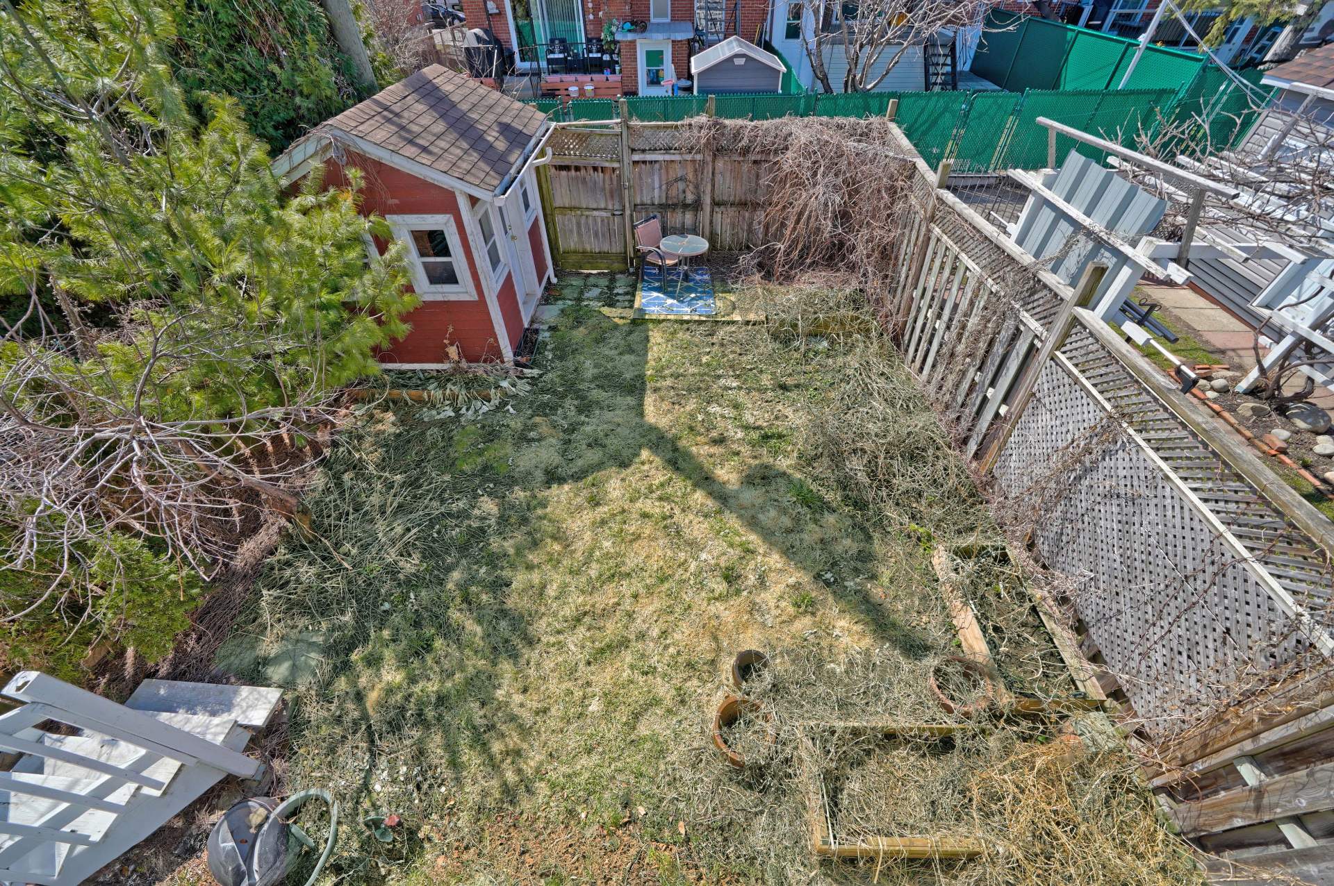 Backyard