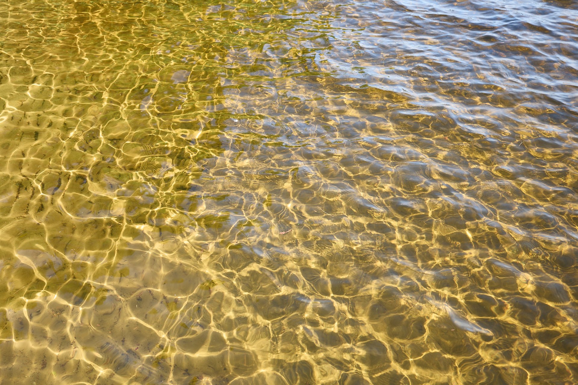 Accès au plan d'eau