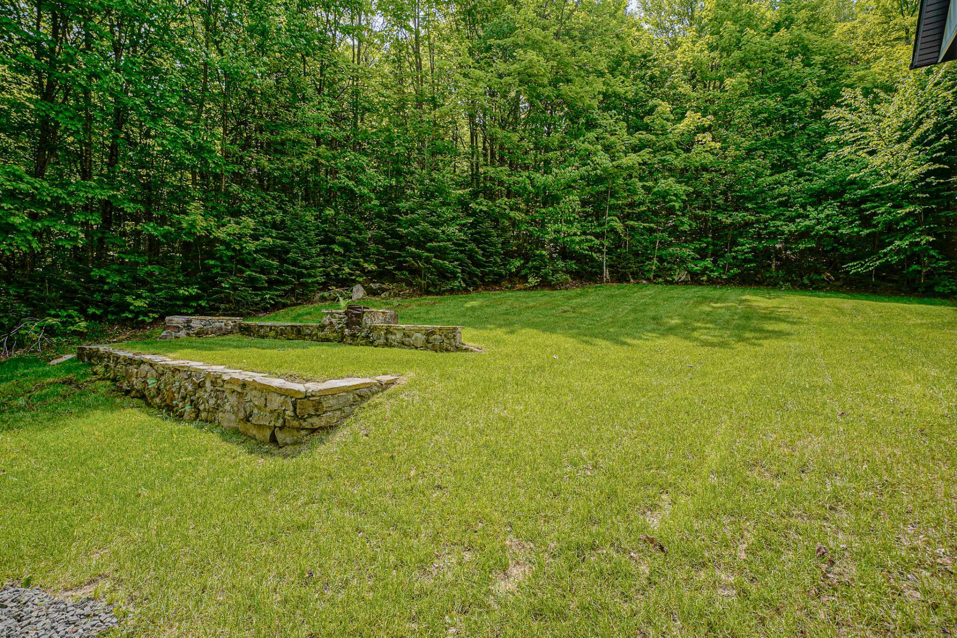 Photo - Backyard