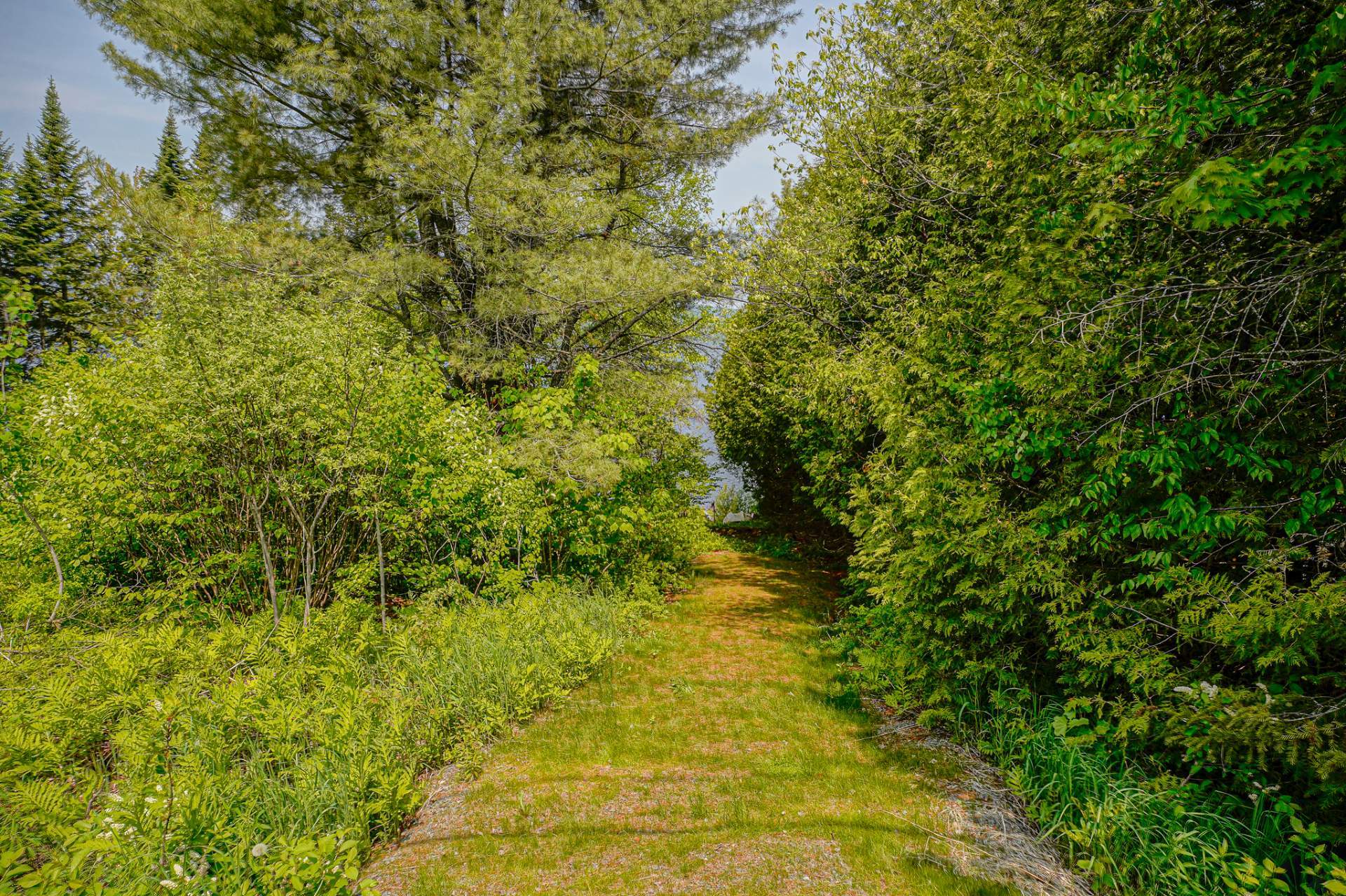 Photo - Backyard