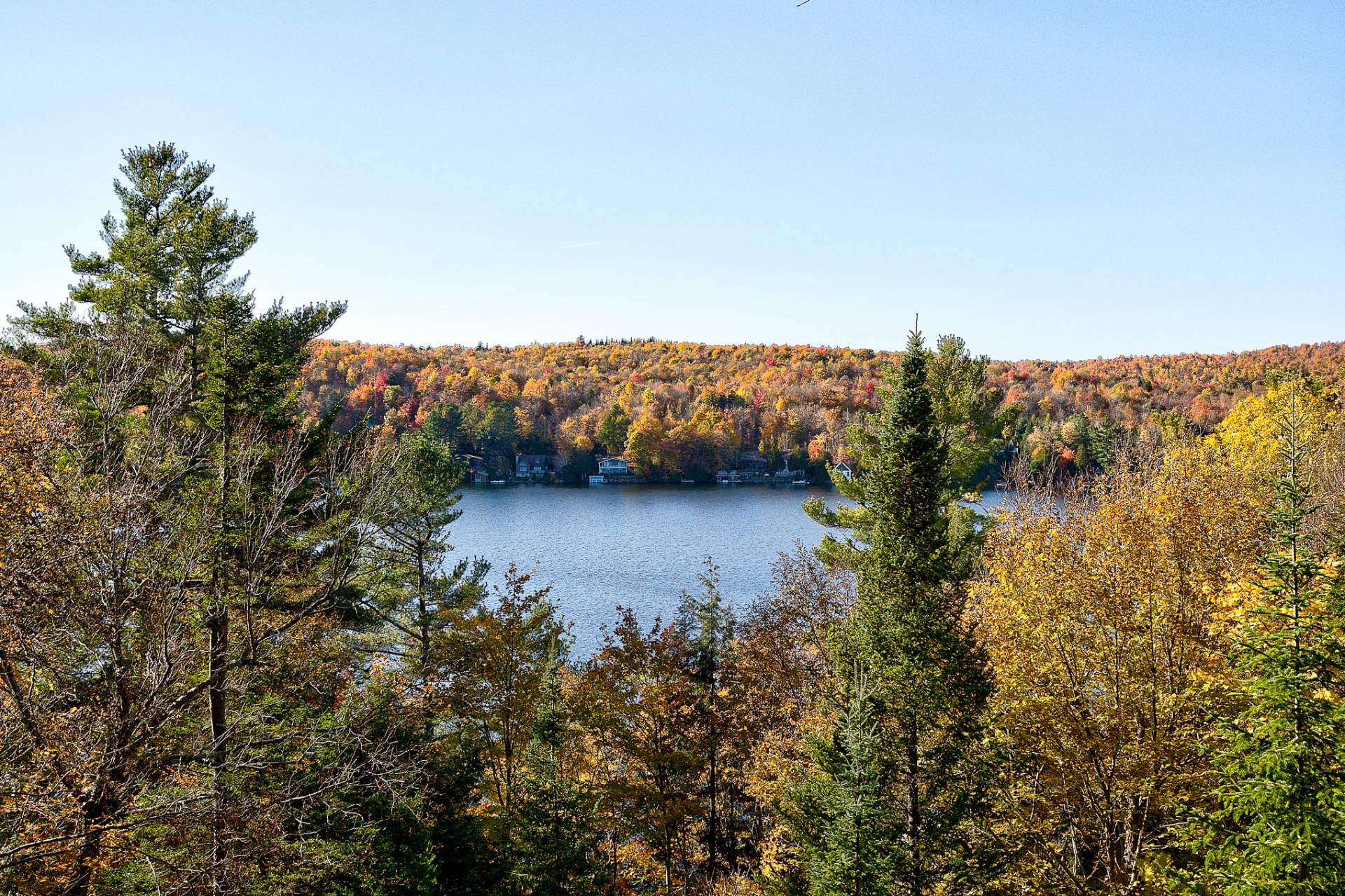 Vue