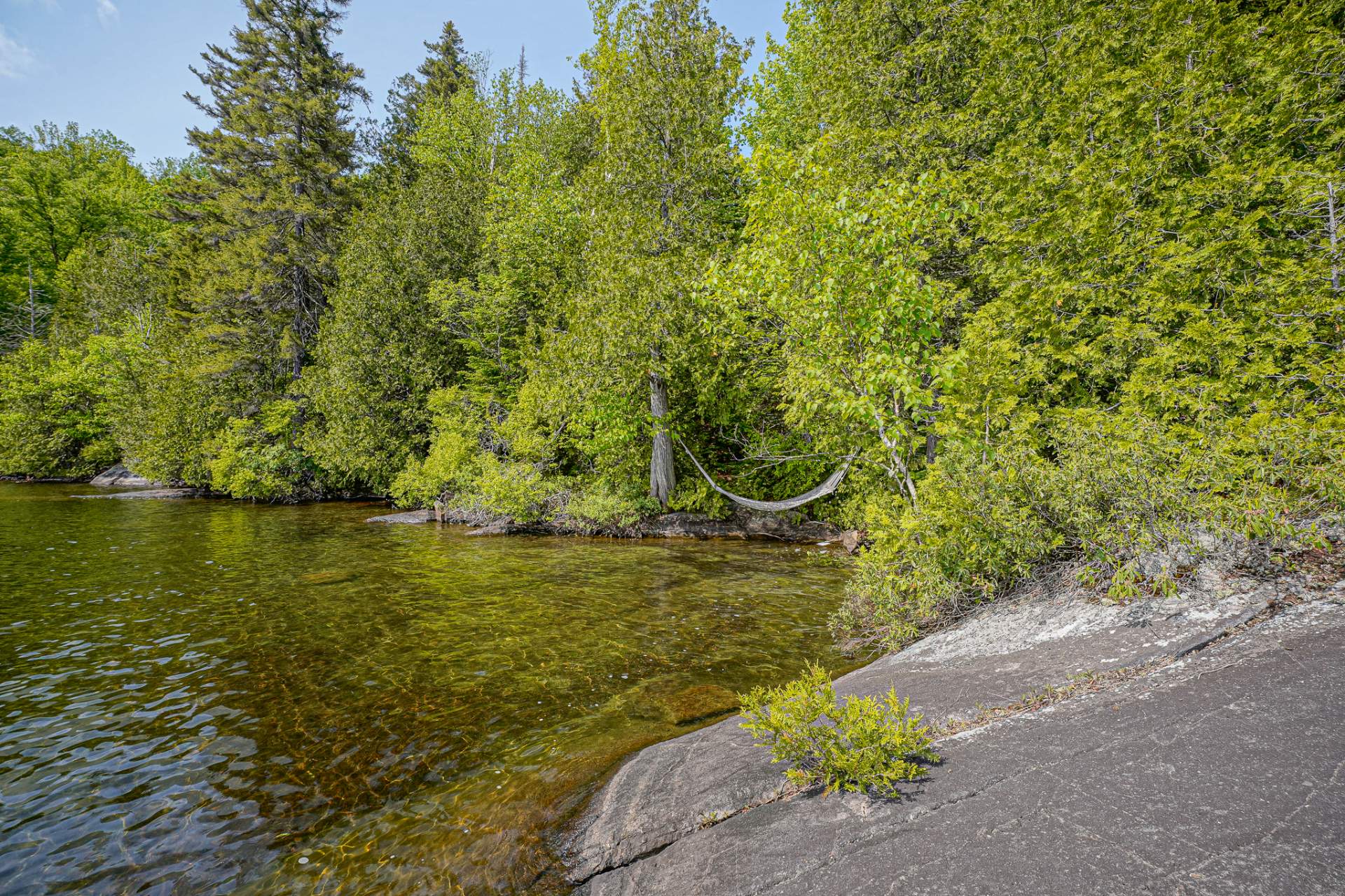 Photo - Bord de l'eau