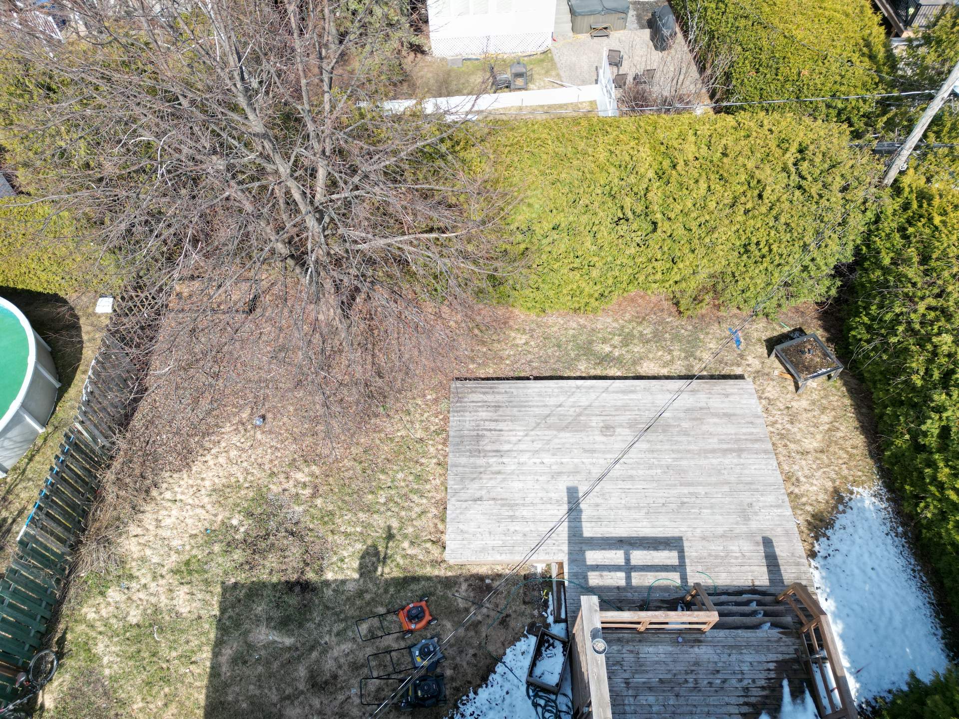 Photo - Backyard