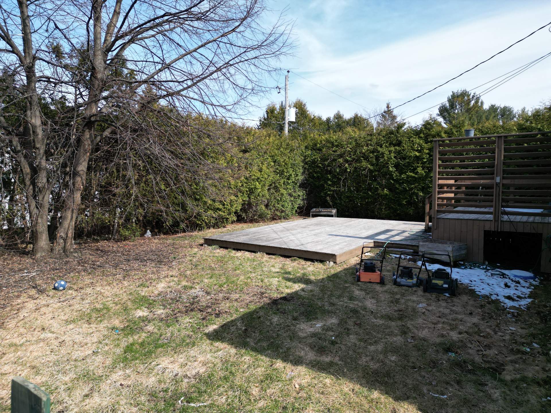 Photo - Backyard