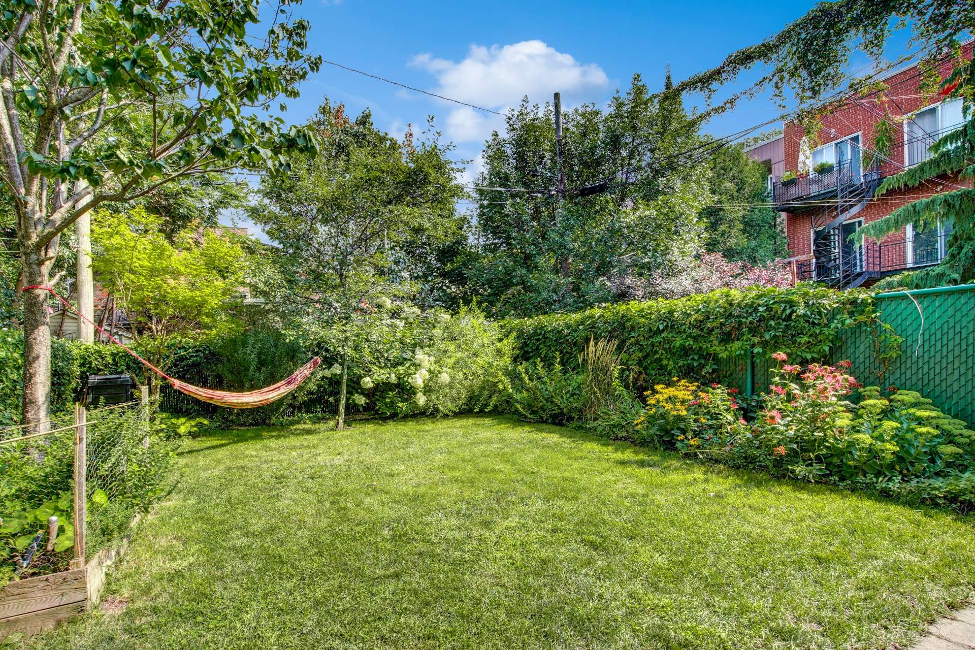 Backyard
