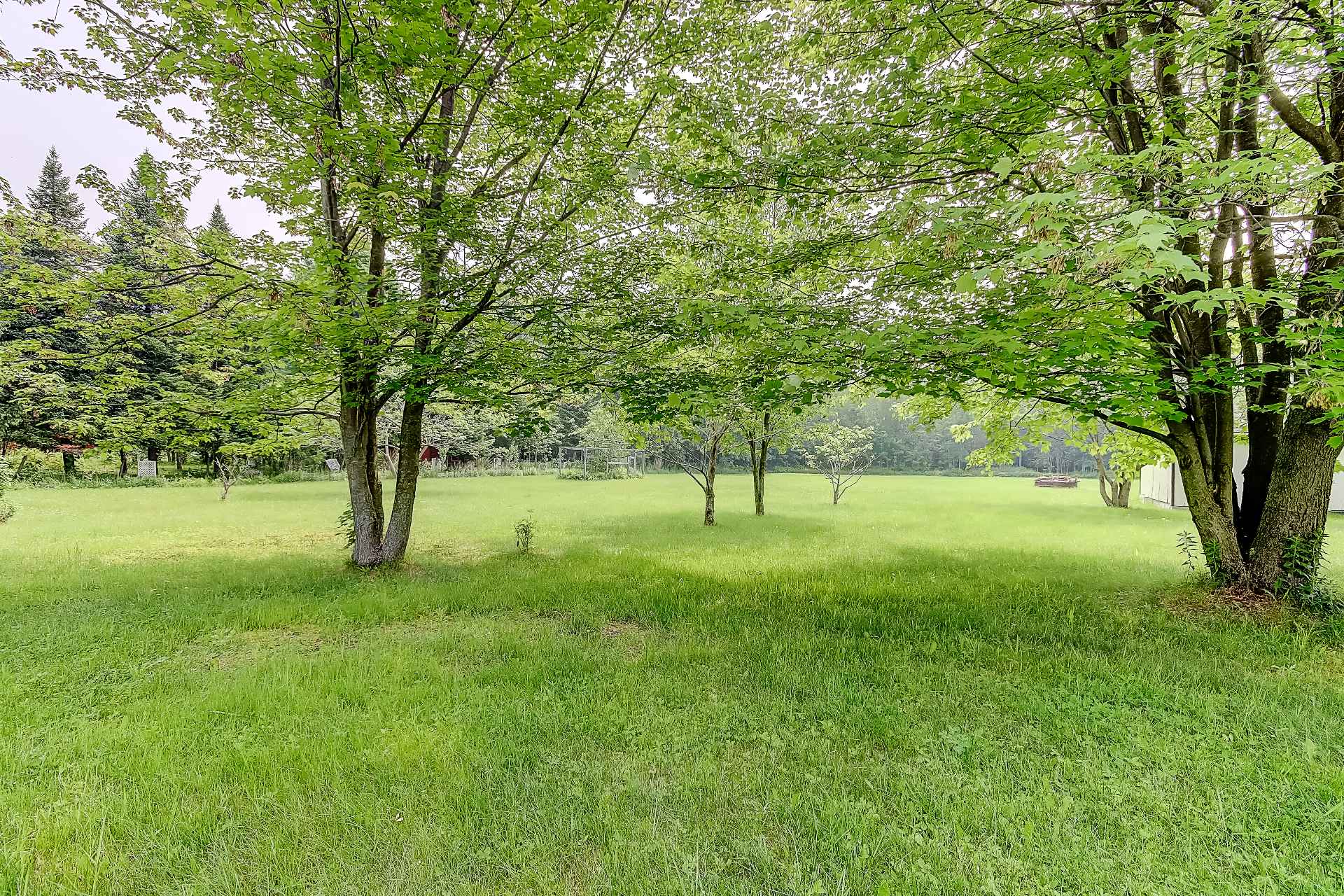Photo - Terre/Terrain