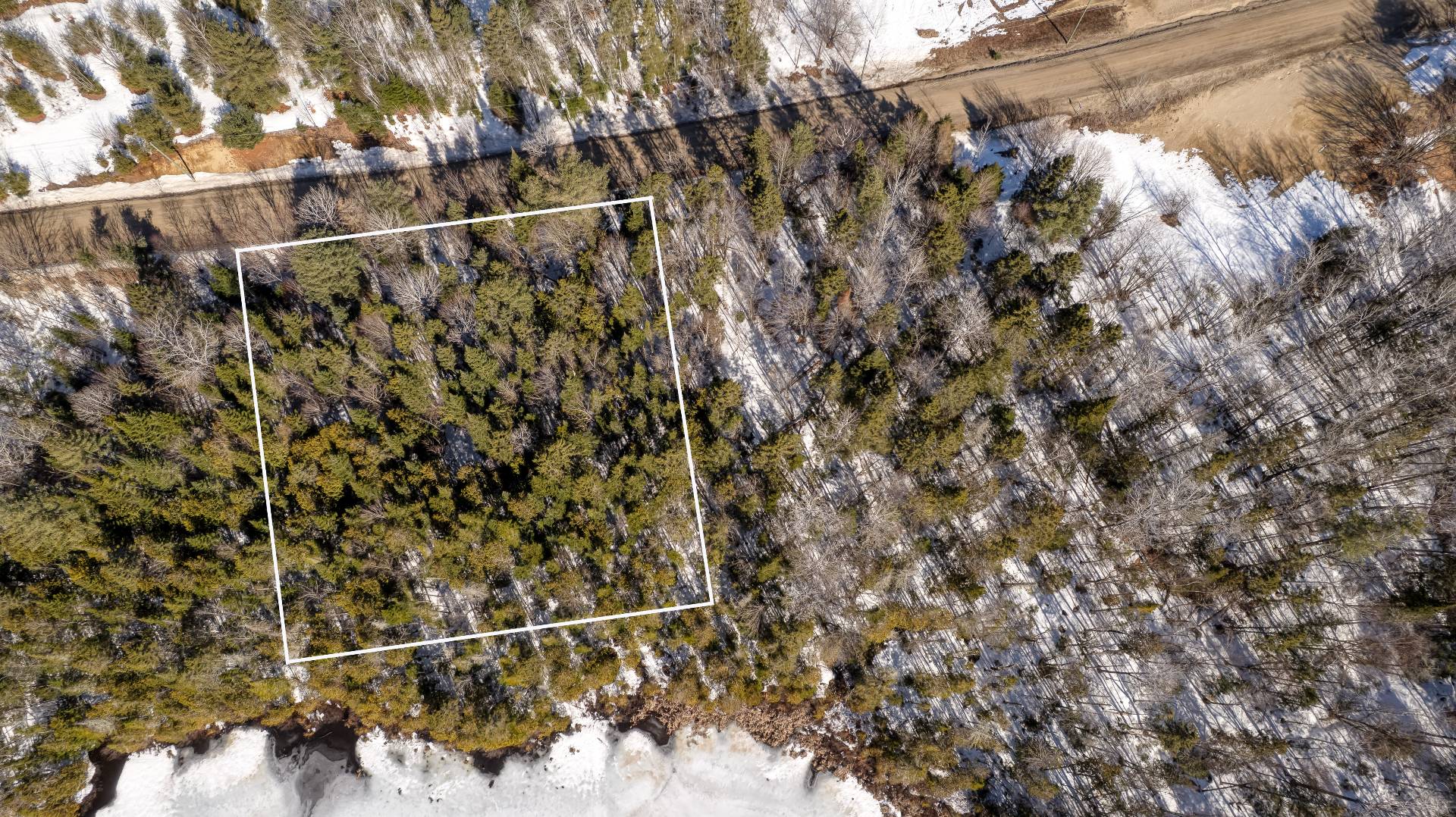 Terre/Terrain