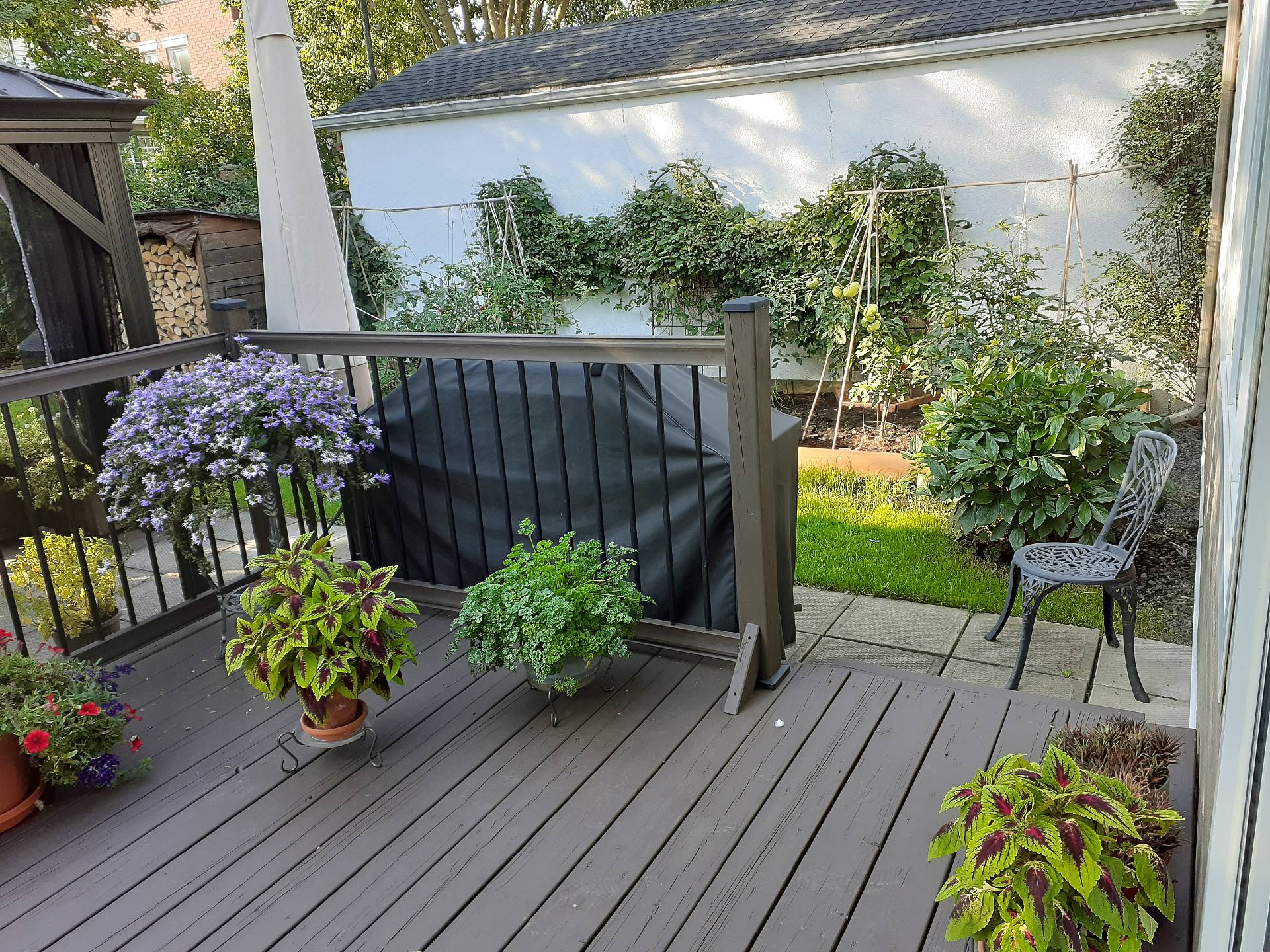 Terrasse