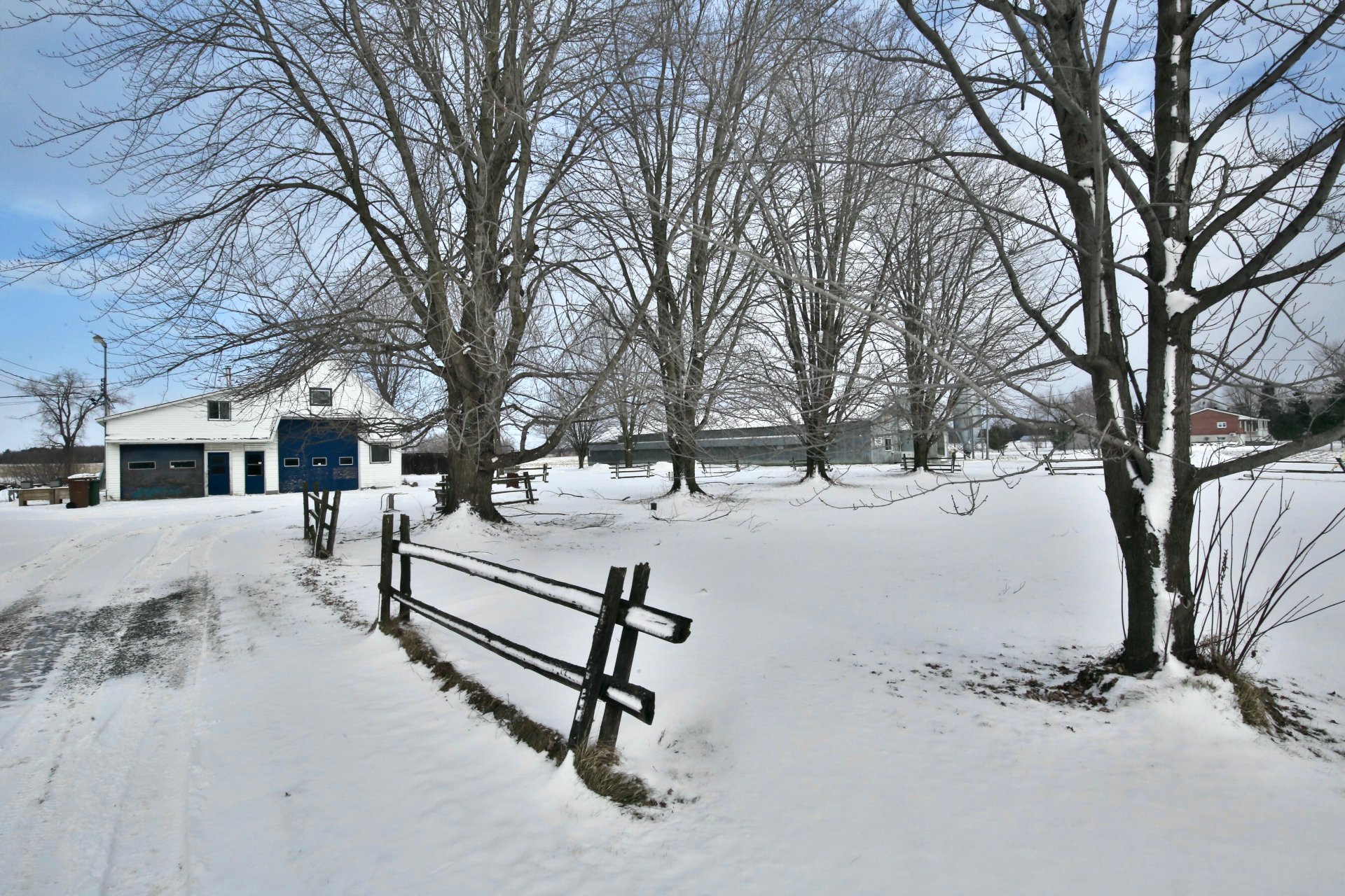 Photo - Garage