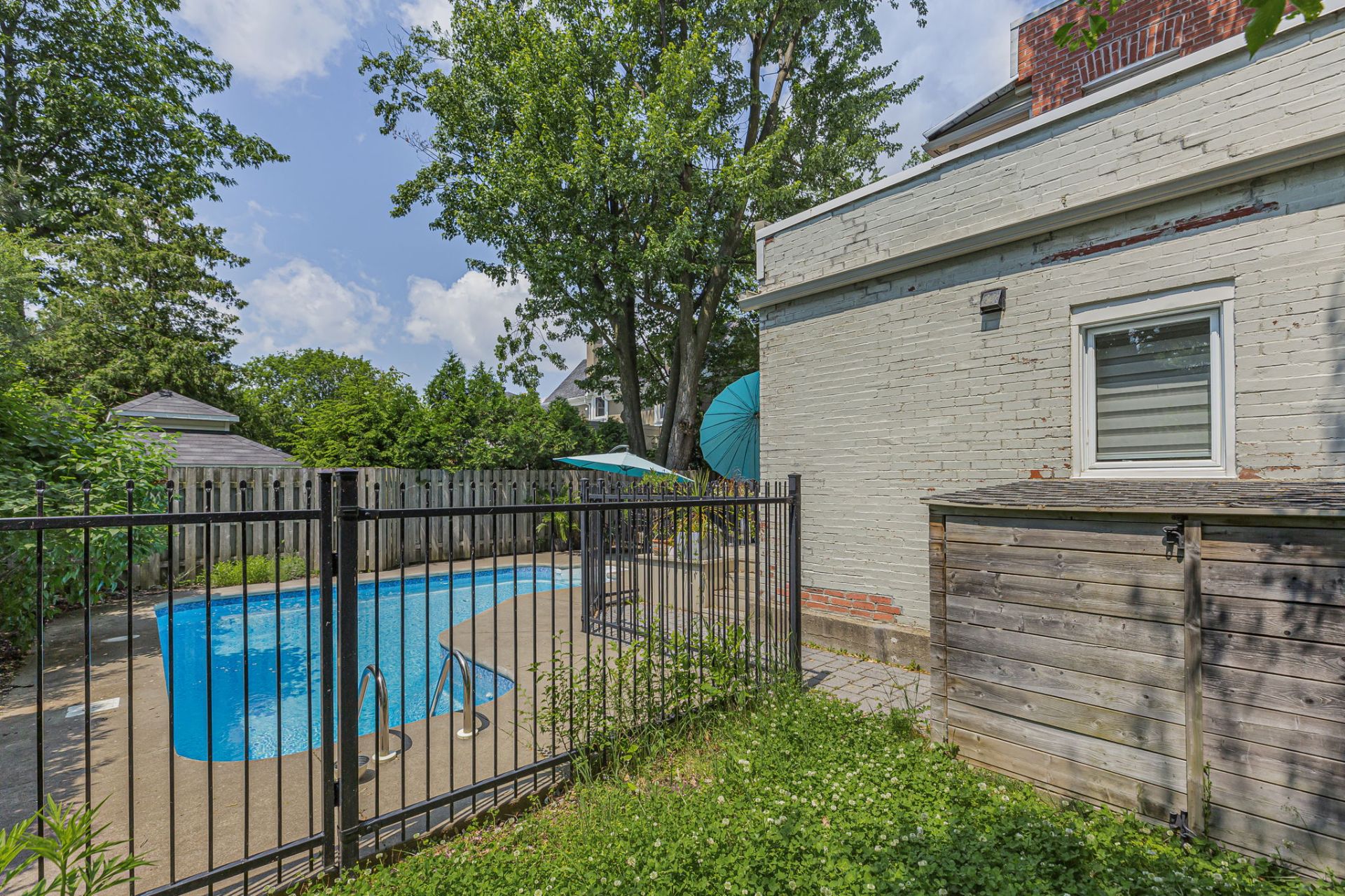 Backyard