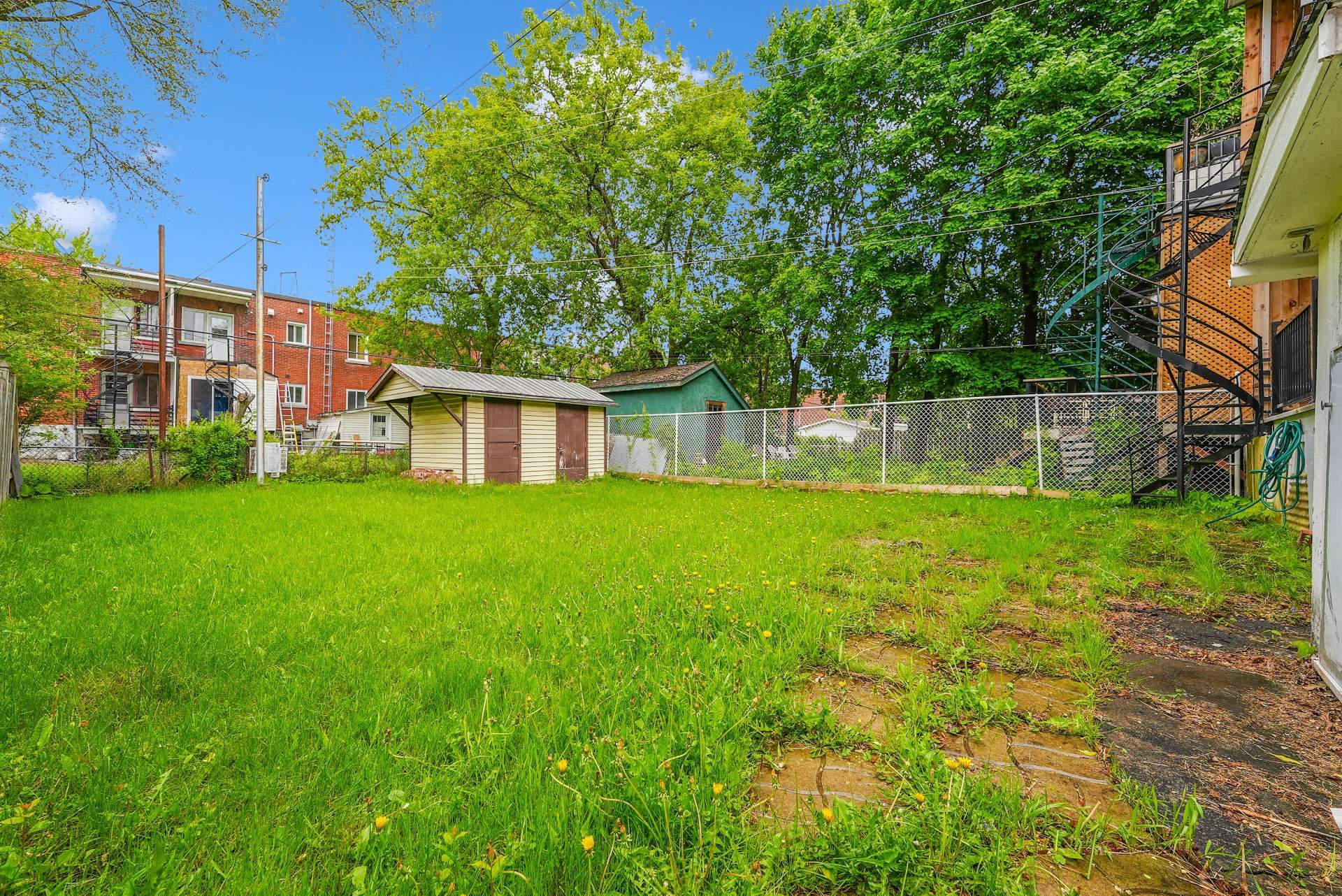 Backyard