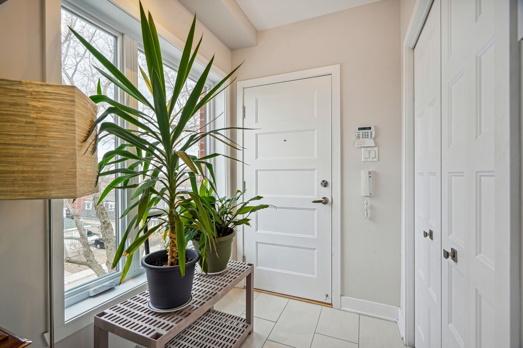 Photo - Hall d'entrée