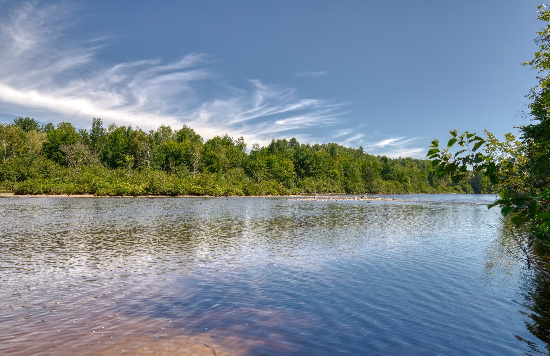 Bord de l'eau