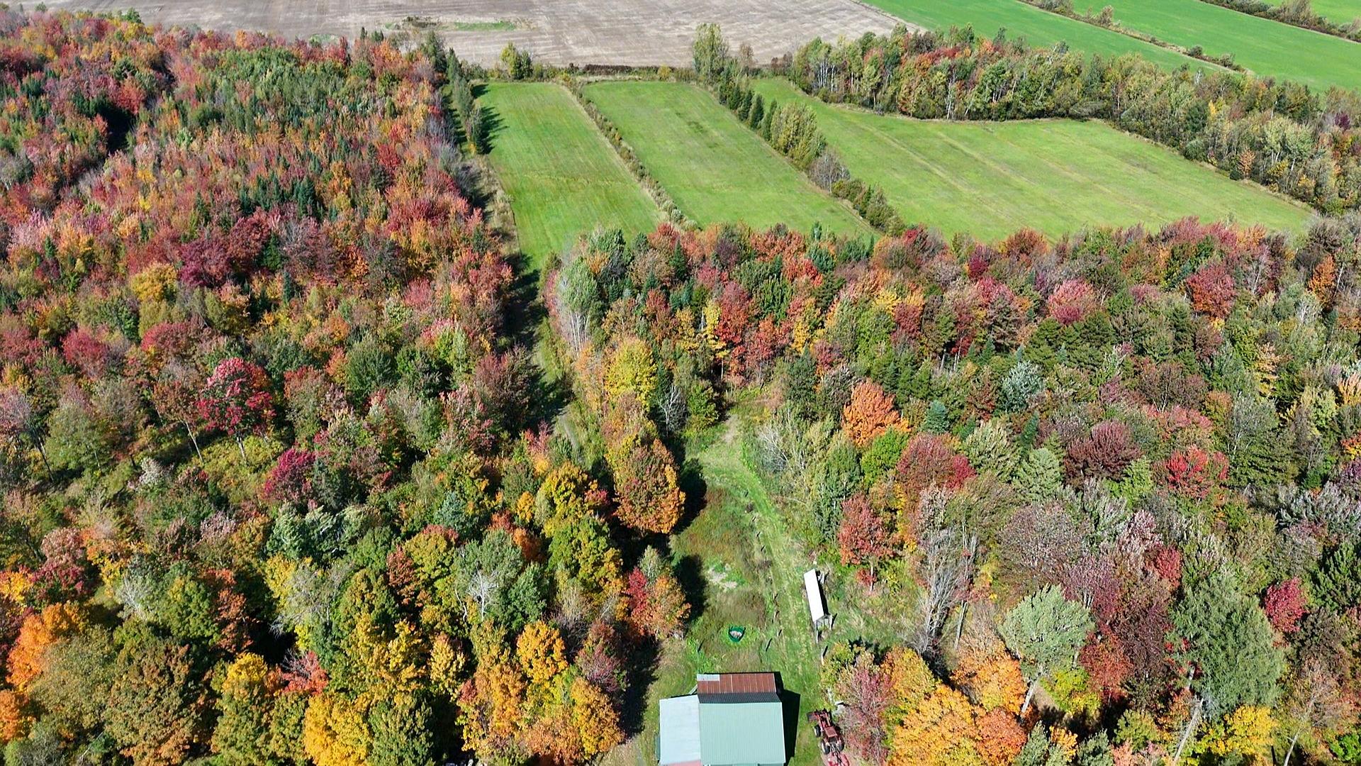 Photo - Terre/Terrain