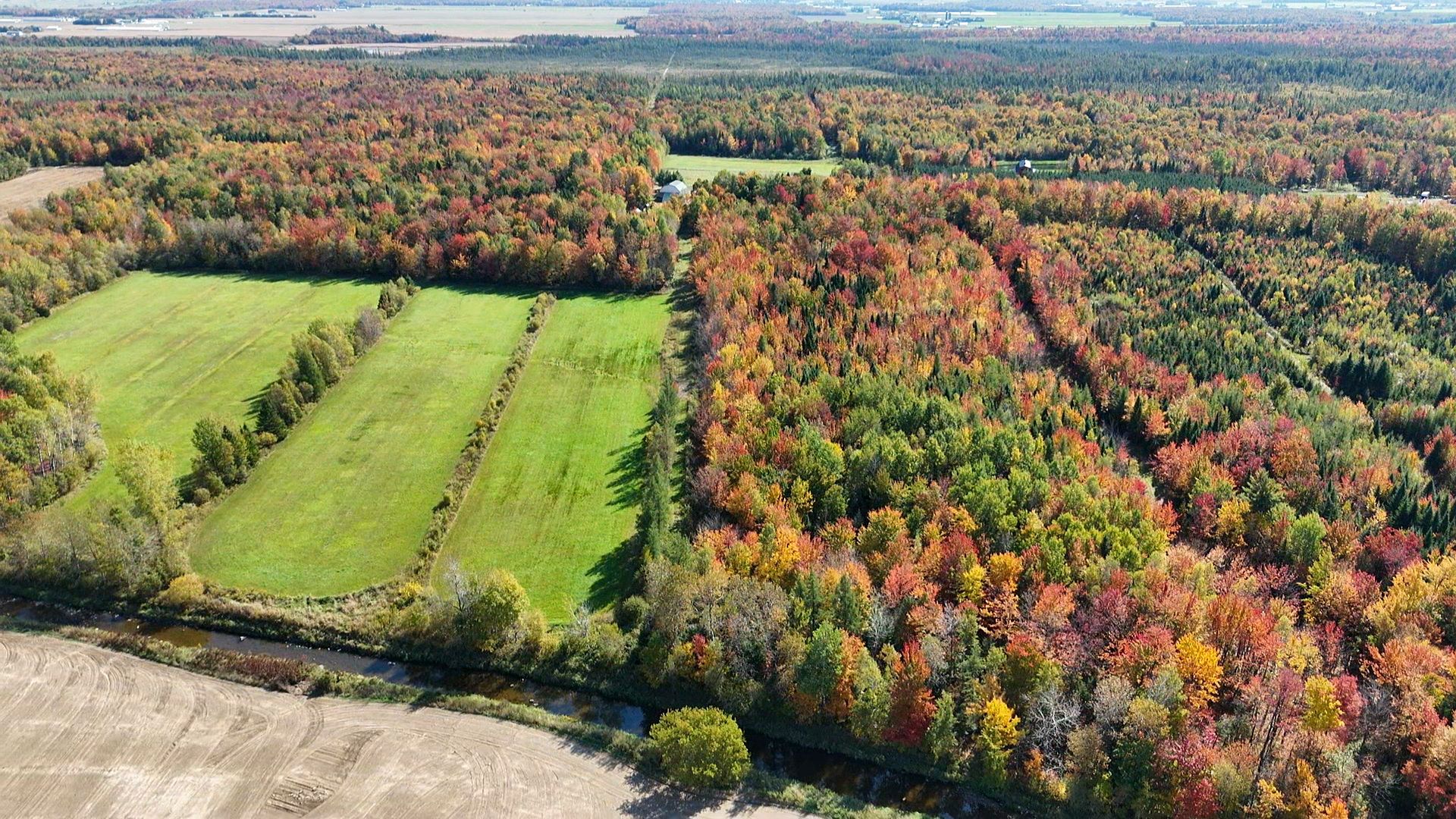 Photo - Terre/Terrain