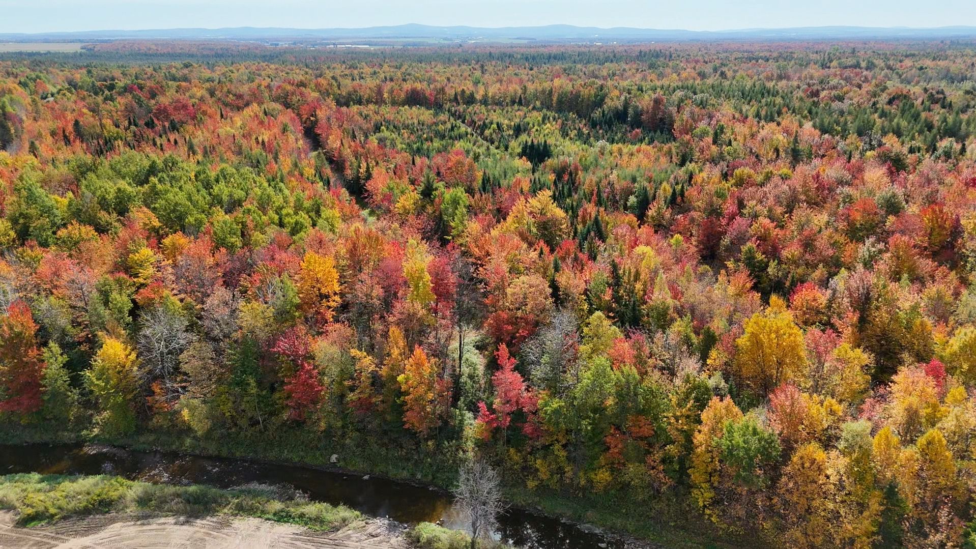 Photo - Terre/Terrain