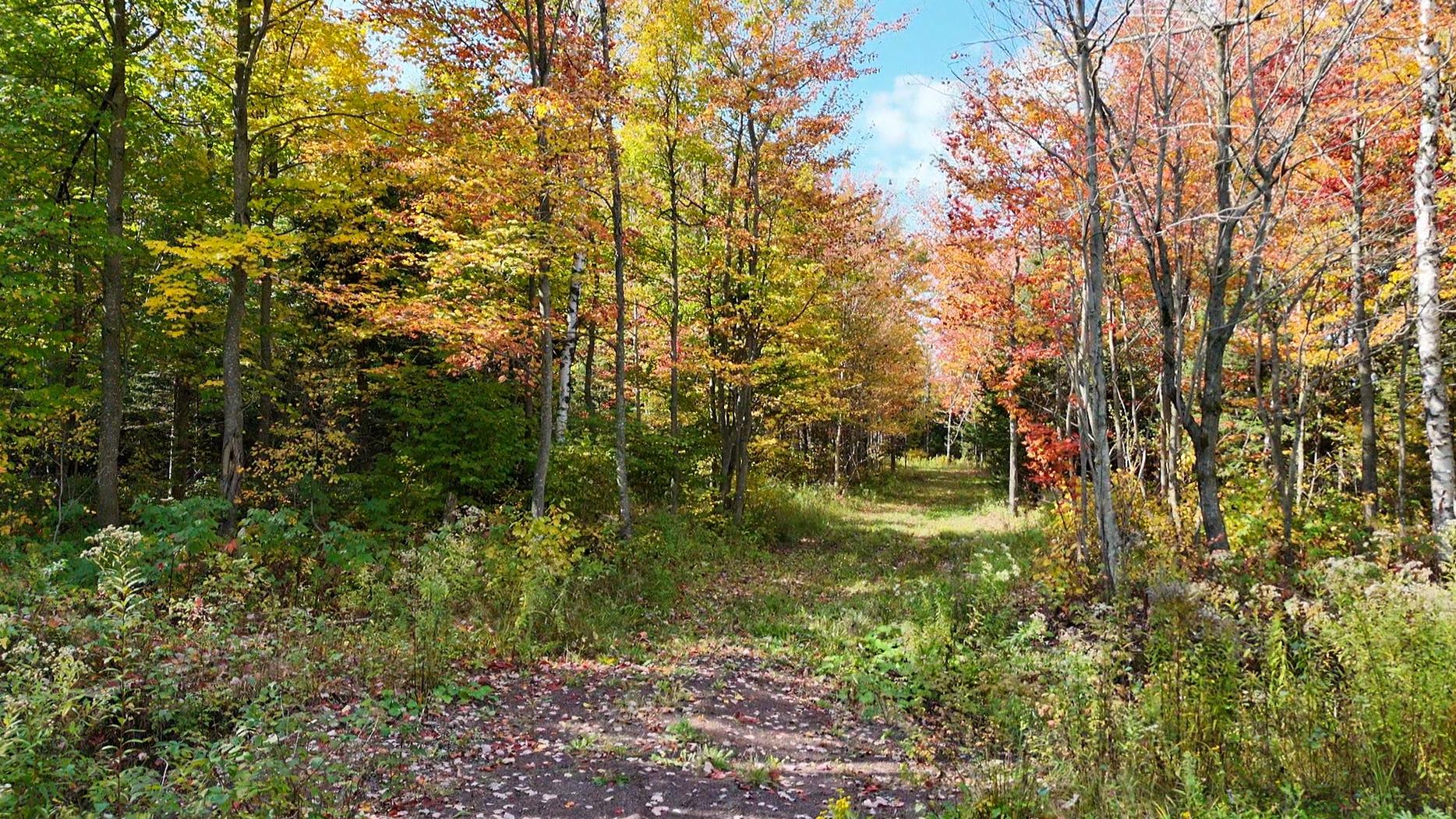 Photo - Terre/Terrain