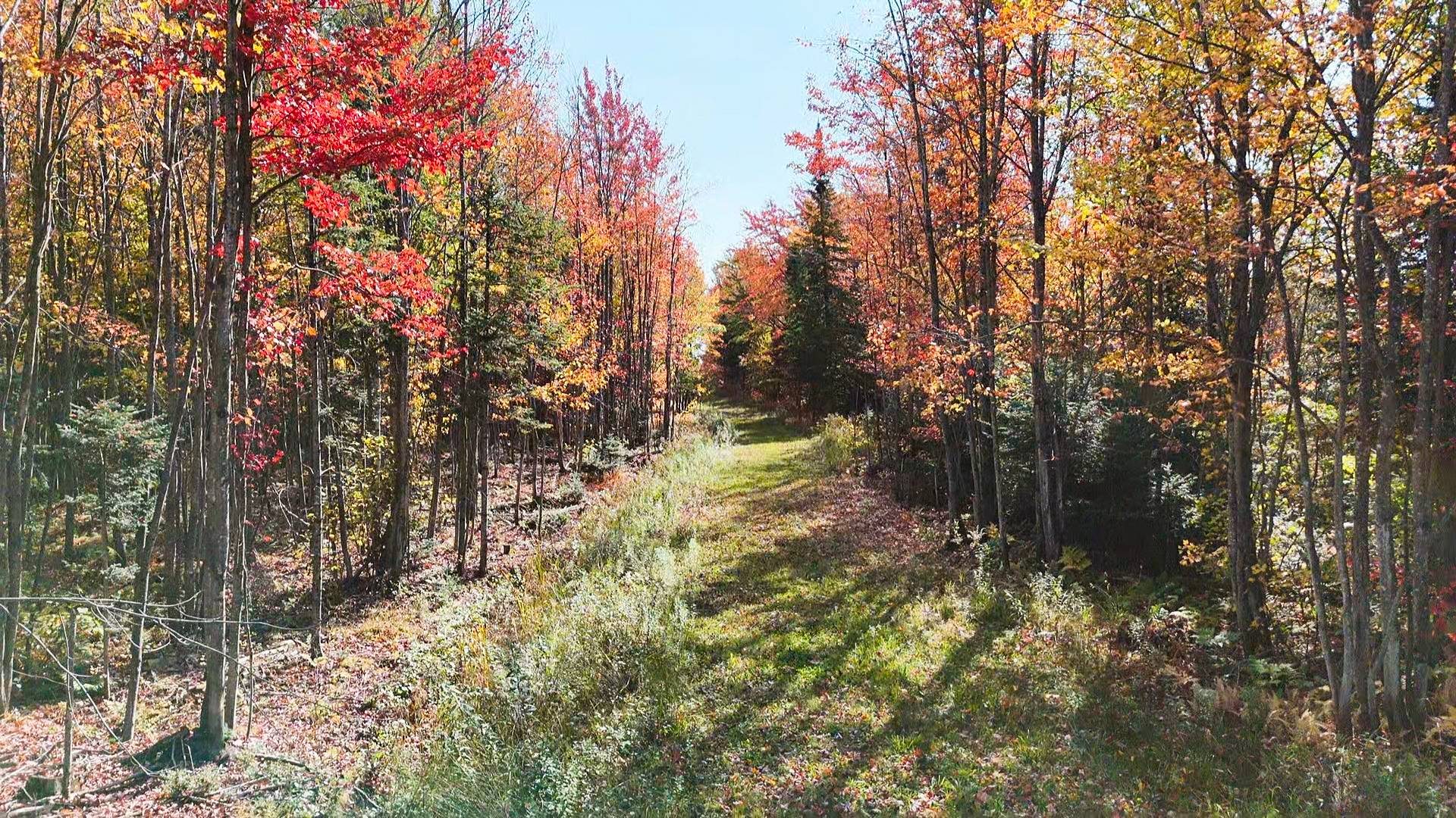 Photo - Terre/Terrain