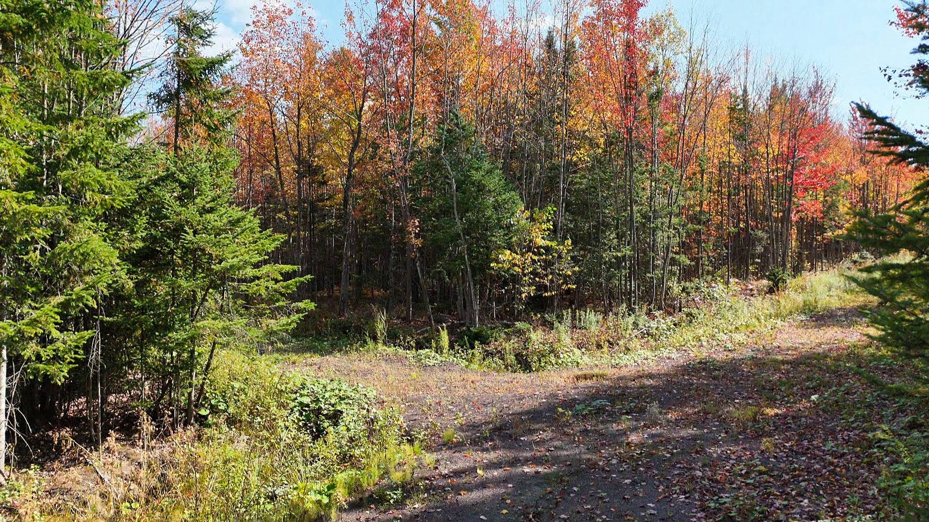 Photo - Terre/Terrain