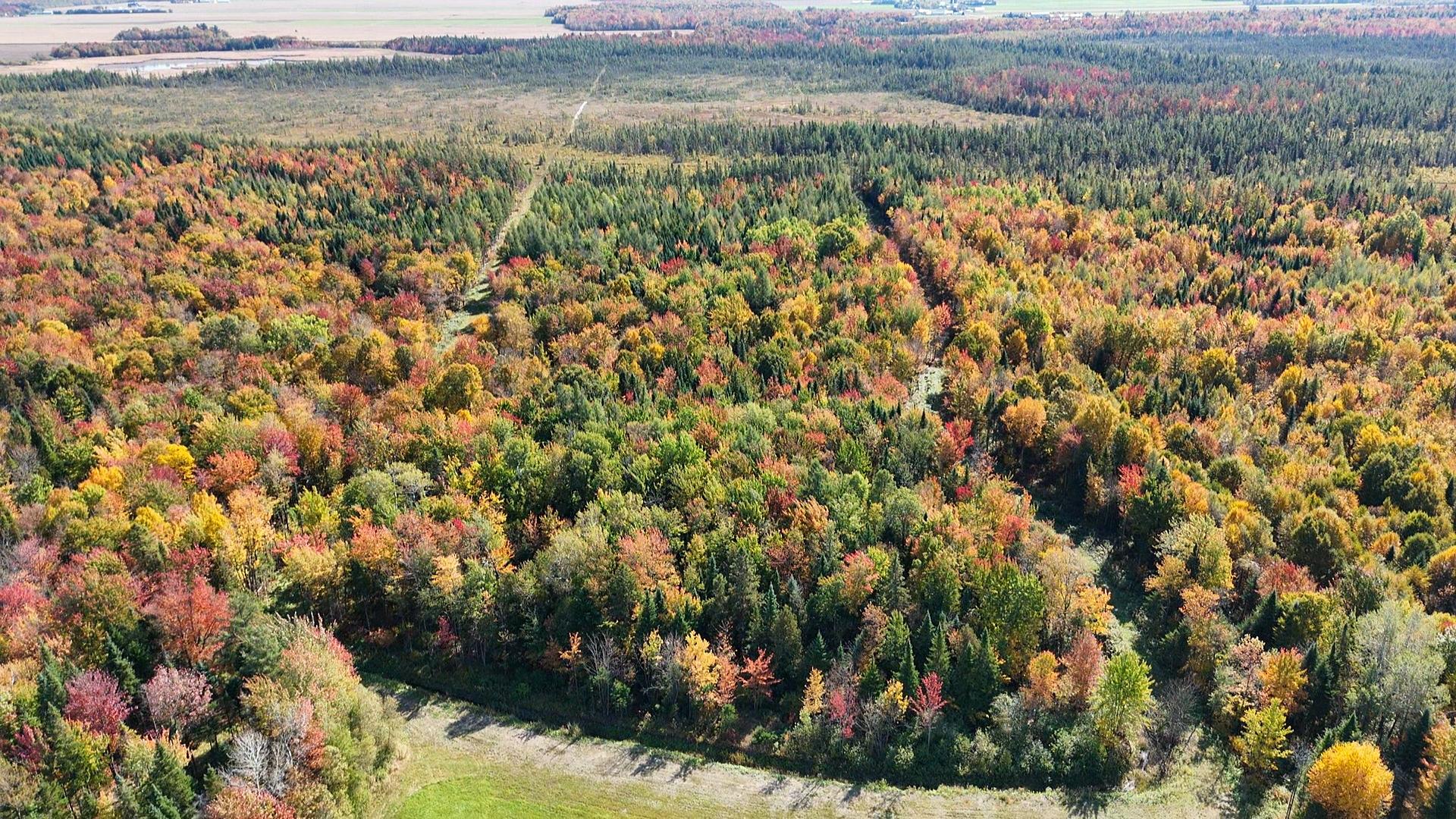 Photo - Terre/Terrain