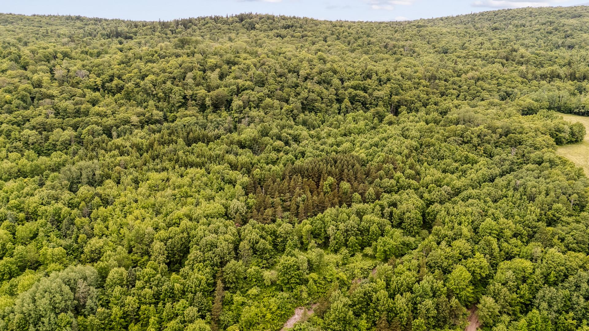 Vue d'ensemble