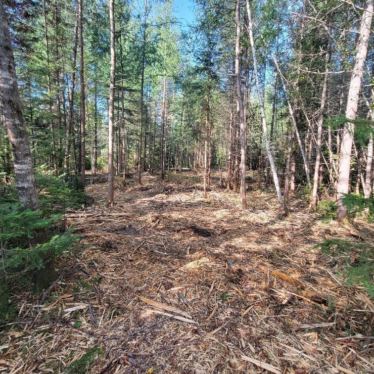 Land/Lot