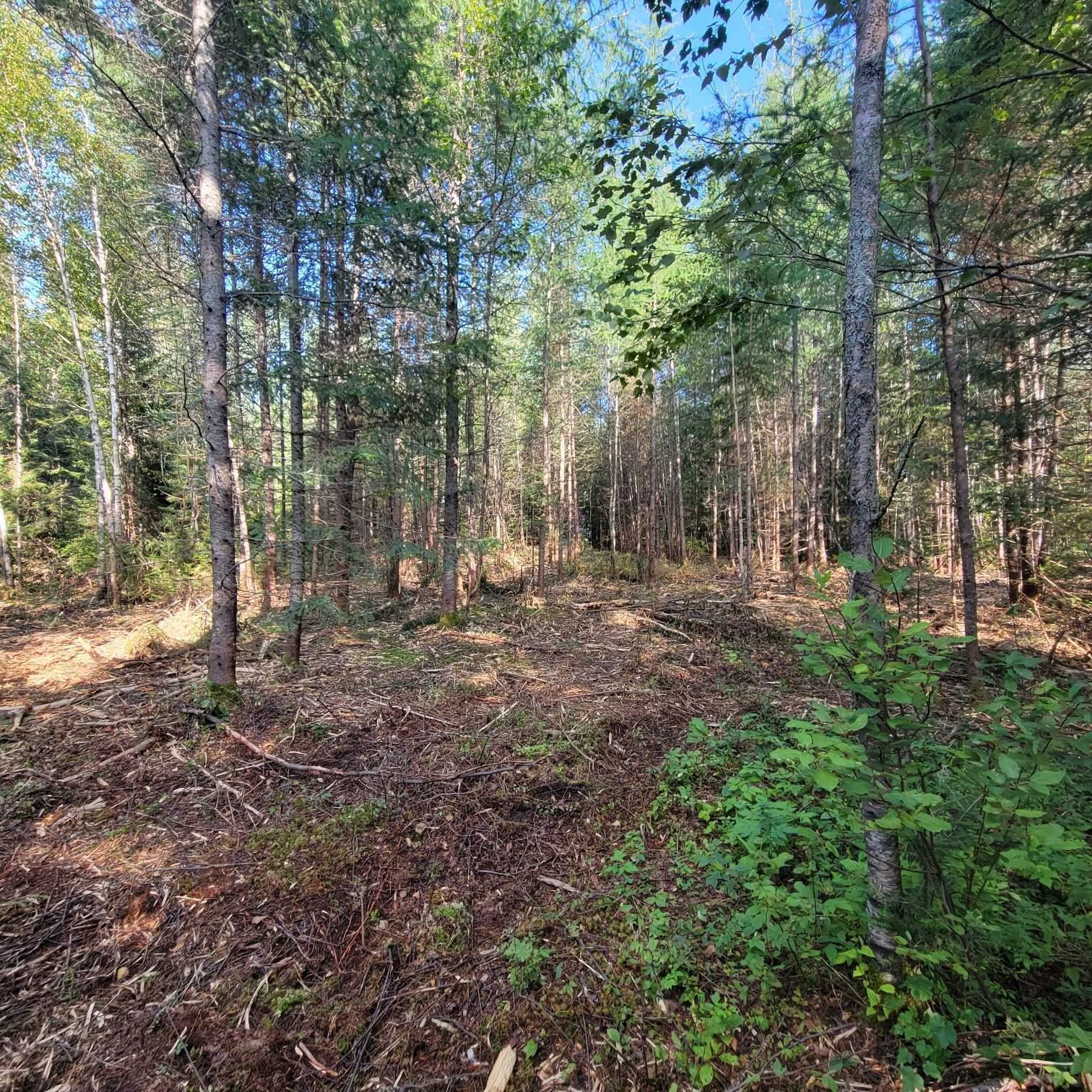 Land/Lot