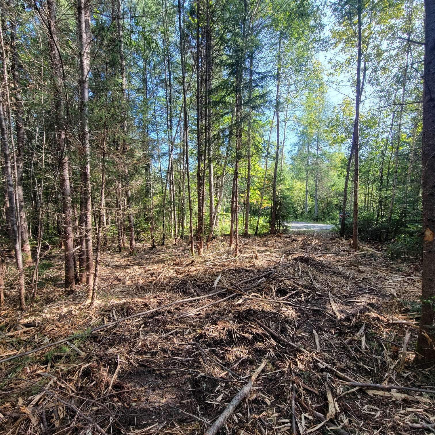 Land/Lot
