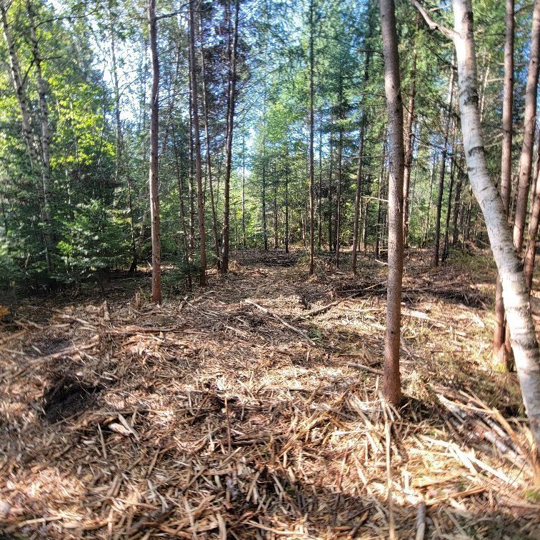Land/Lot