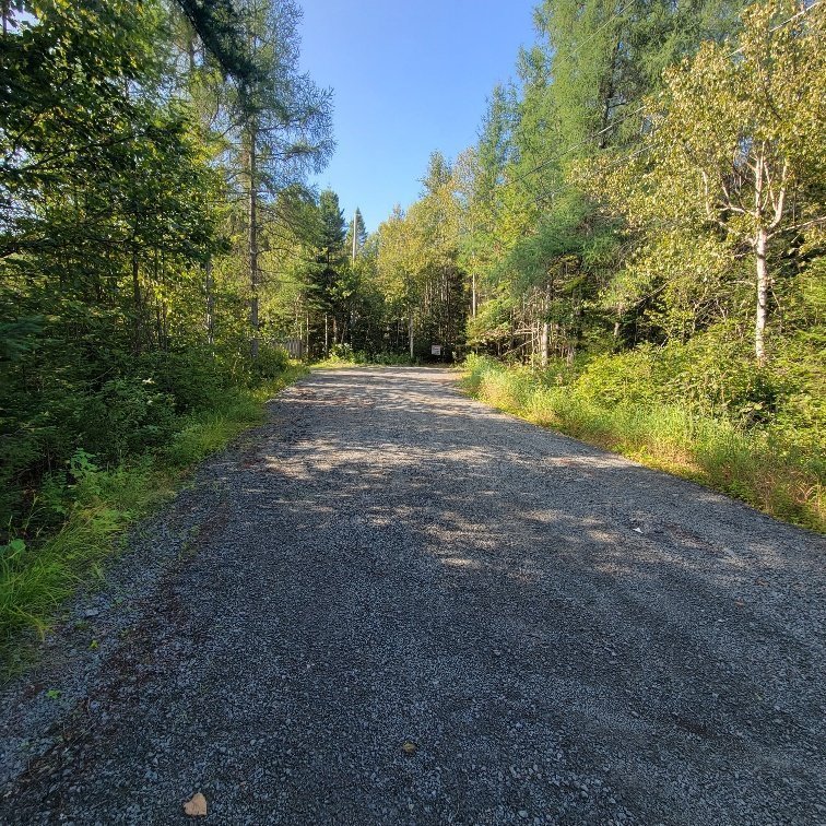 Street