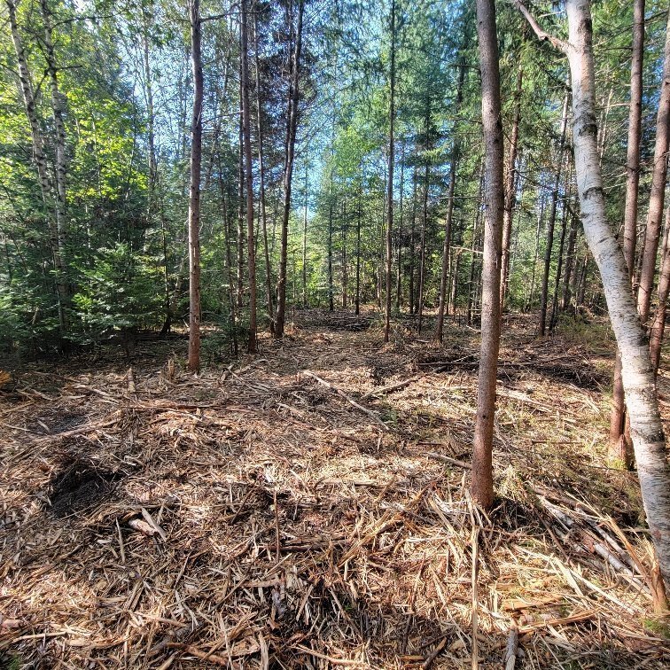 Land/Lot